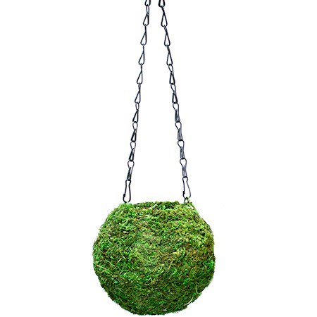 SuperMoss 6" Kokedama Green Moss Ball Planter