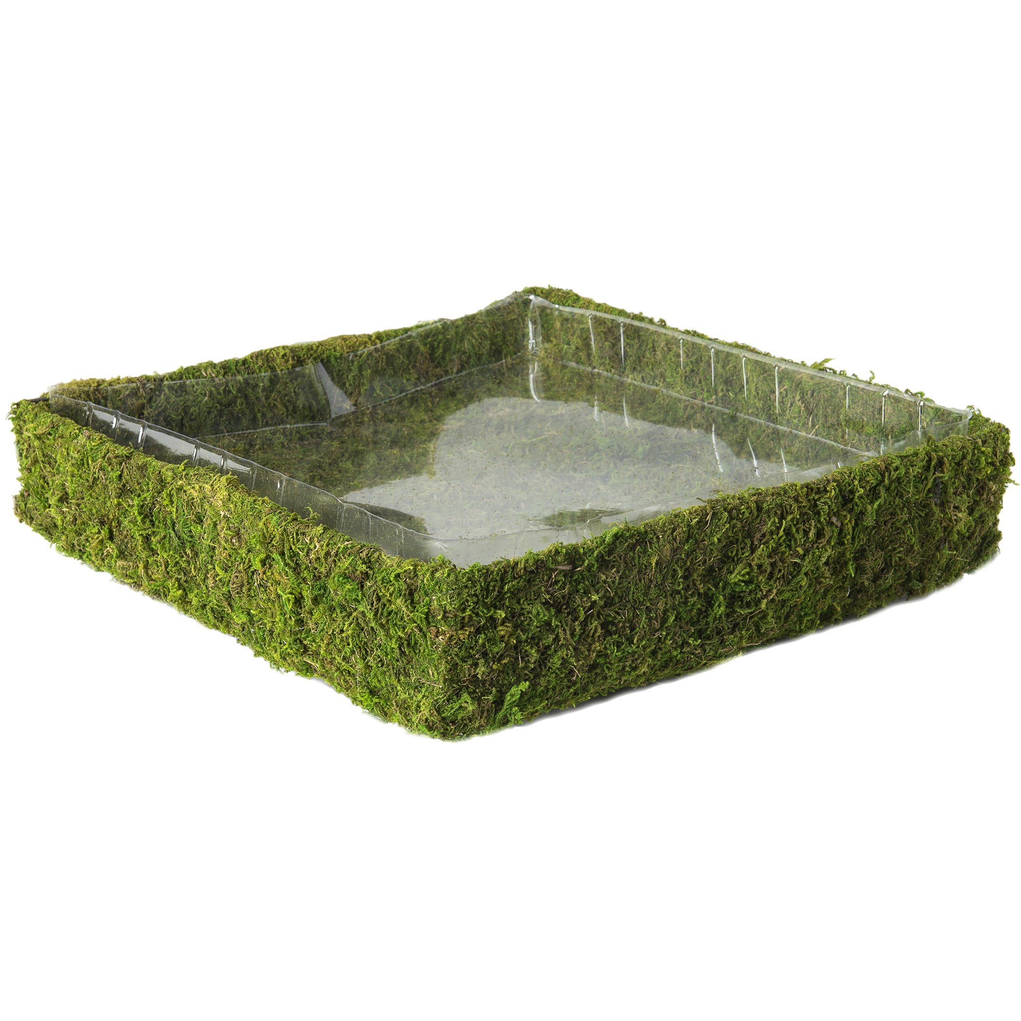 SuperMoss 15" Propagation Tray Square — priced per each; minimum 8; multiples of 8