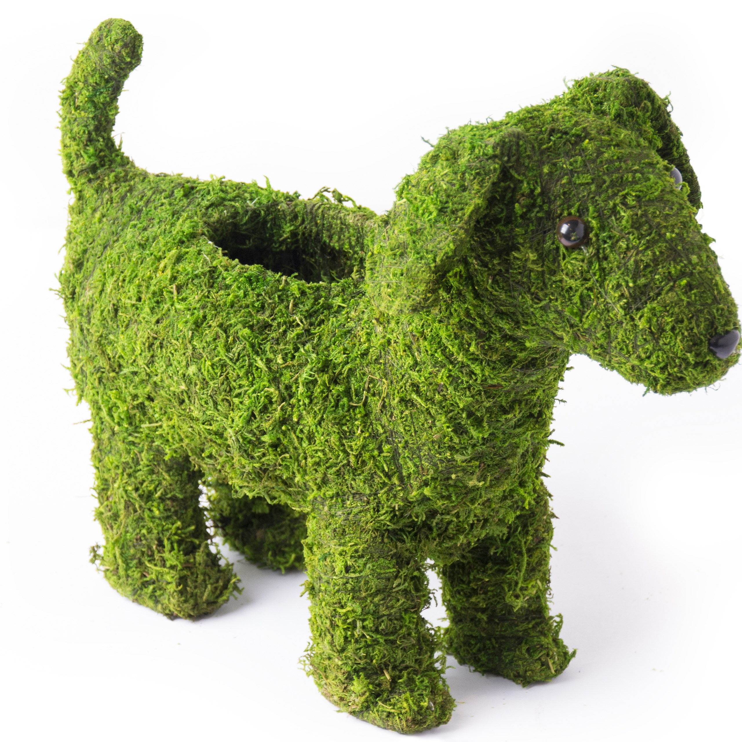 SuperMoss Puppy Planter — priced per each; minimum 6; multiples of 6