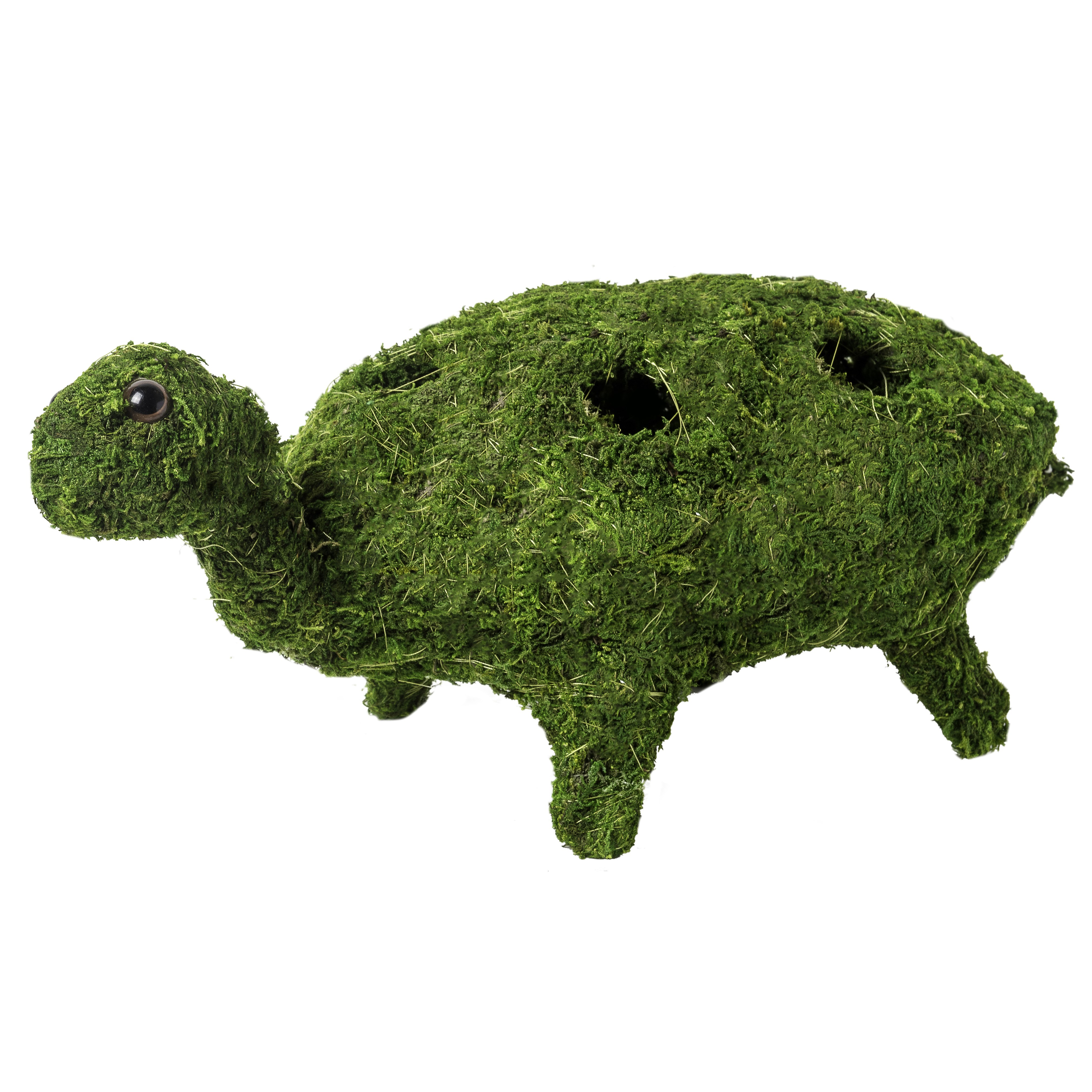 SuperMoss Turtle Planter — priced per each; minimum 6; multiples of 6