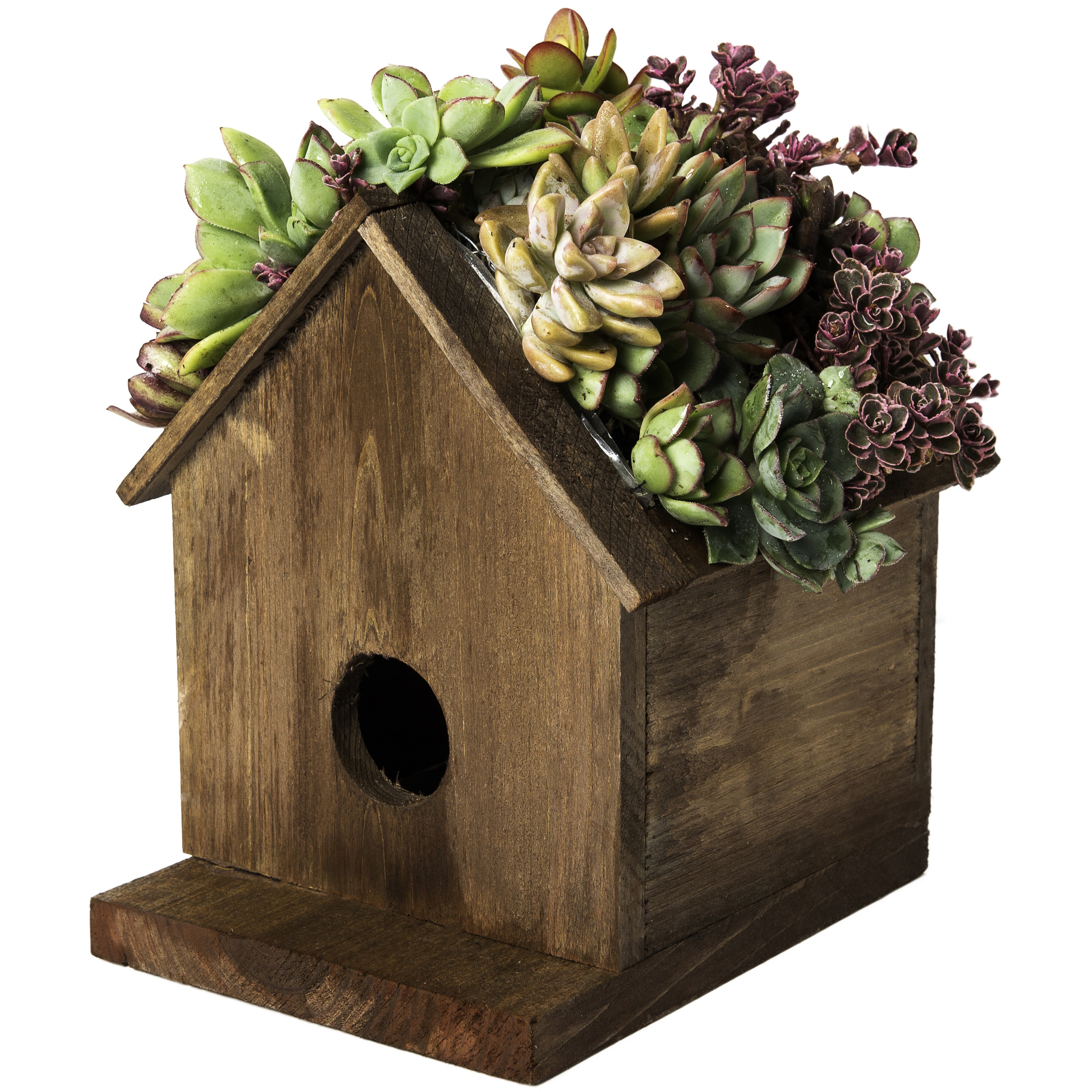 SuperMoss Large Birdhouse Plantable Jade — priced per each; minimum 6; multiples of 6