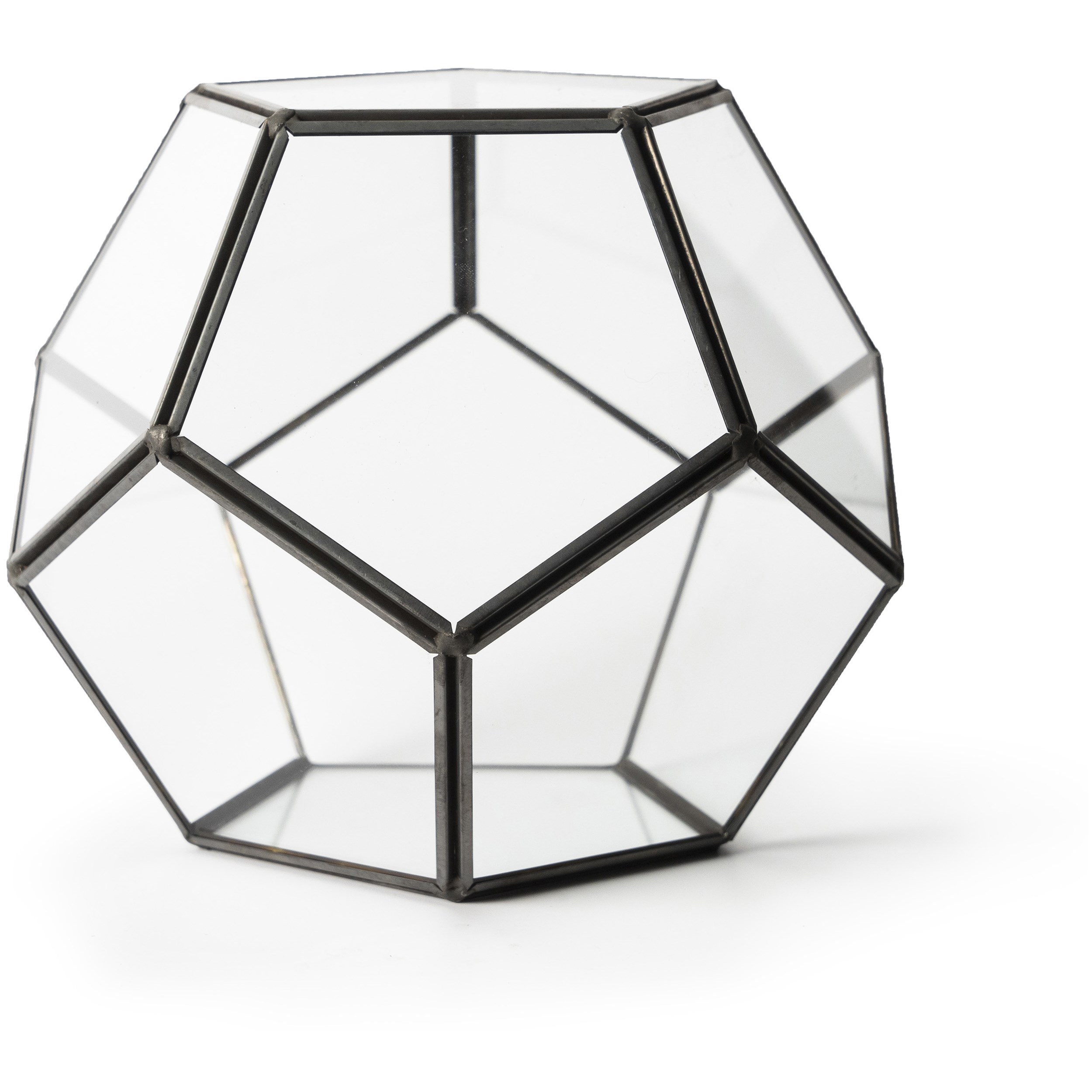SuperMoss Glass Terrarium Dome
