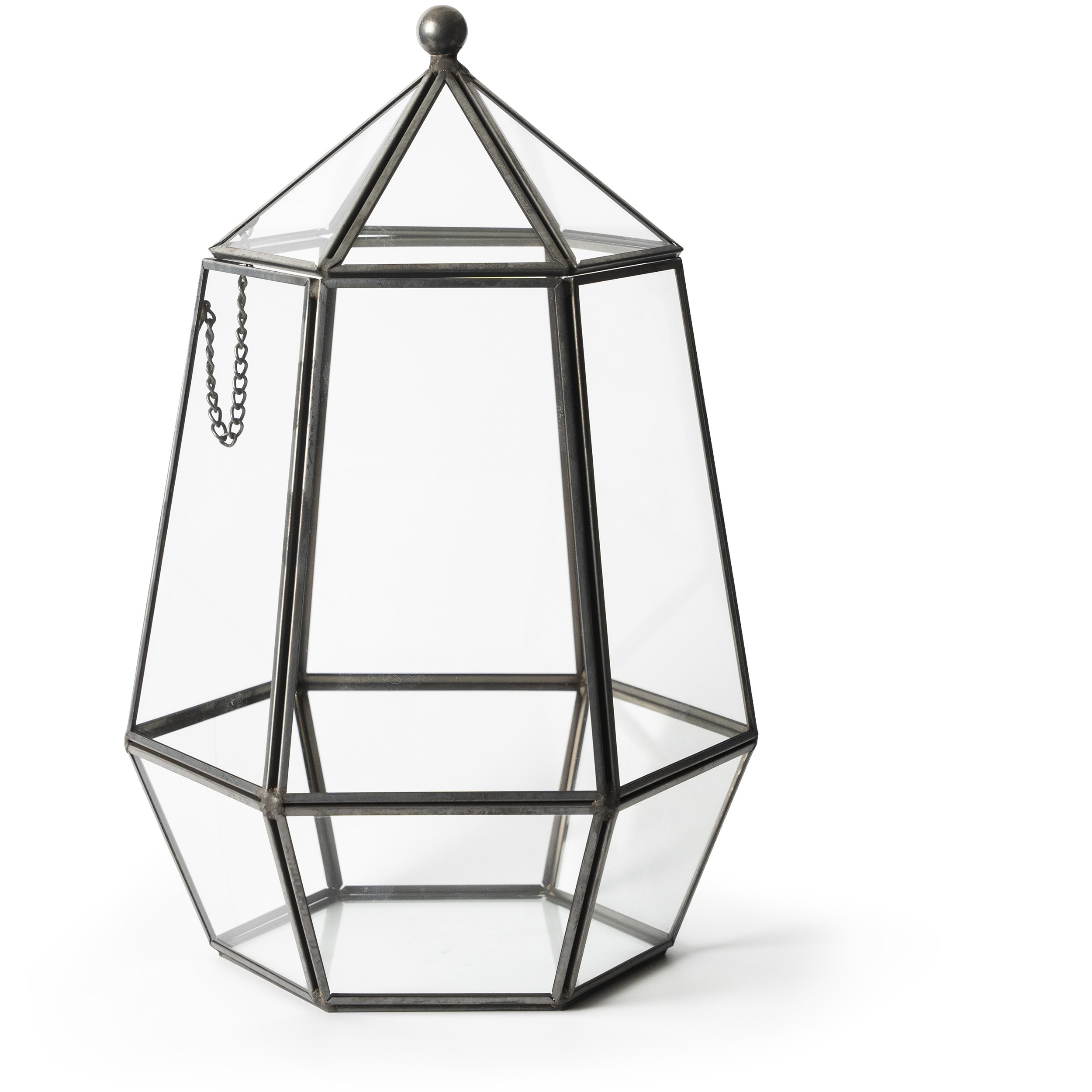 SuperMoss Glass Terrarium Atrium