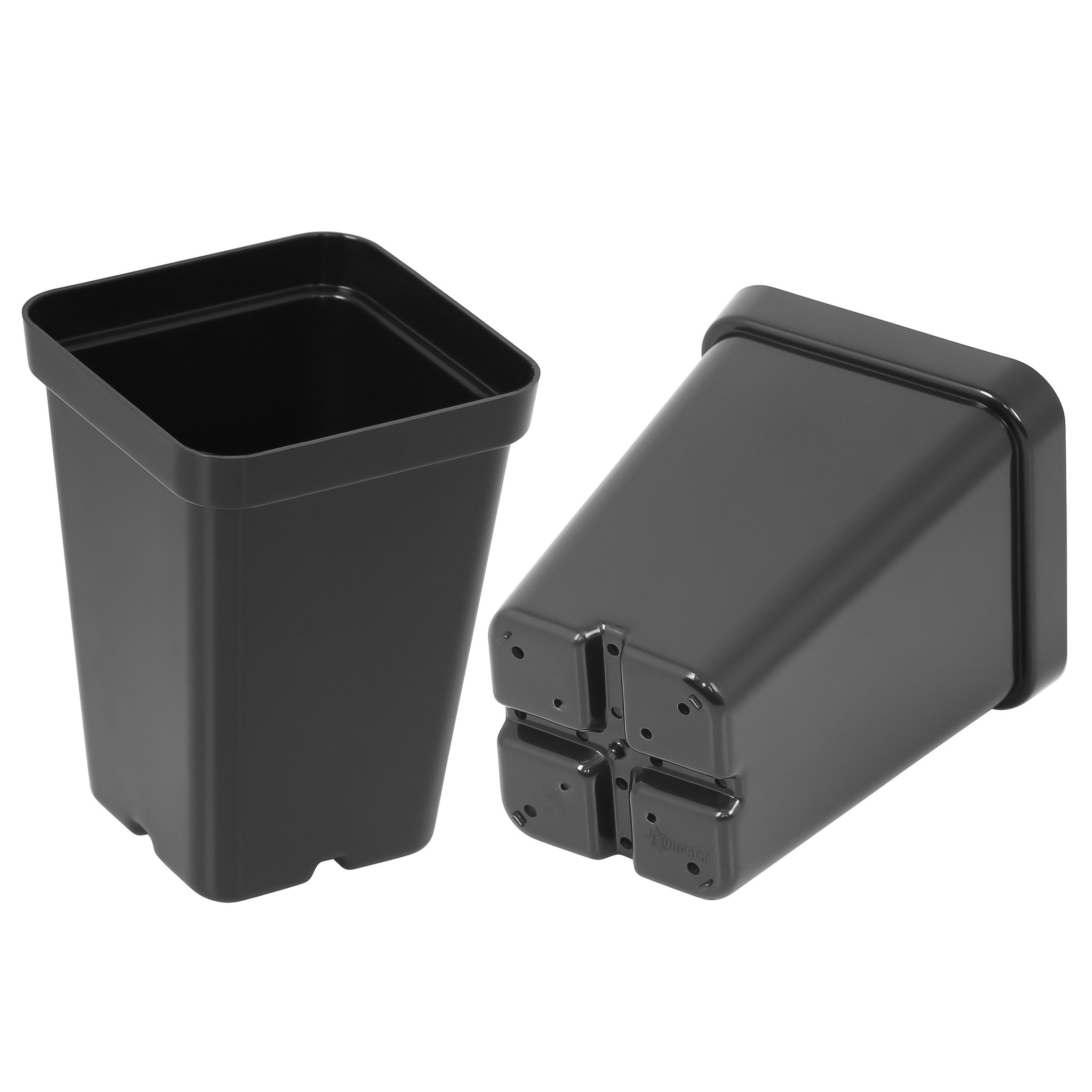 SunPack 2.5" Square Pot, Black — priced per each; minimum 25; multiples of 25