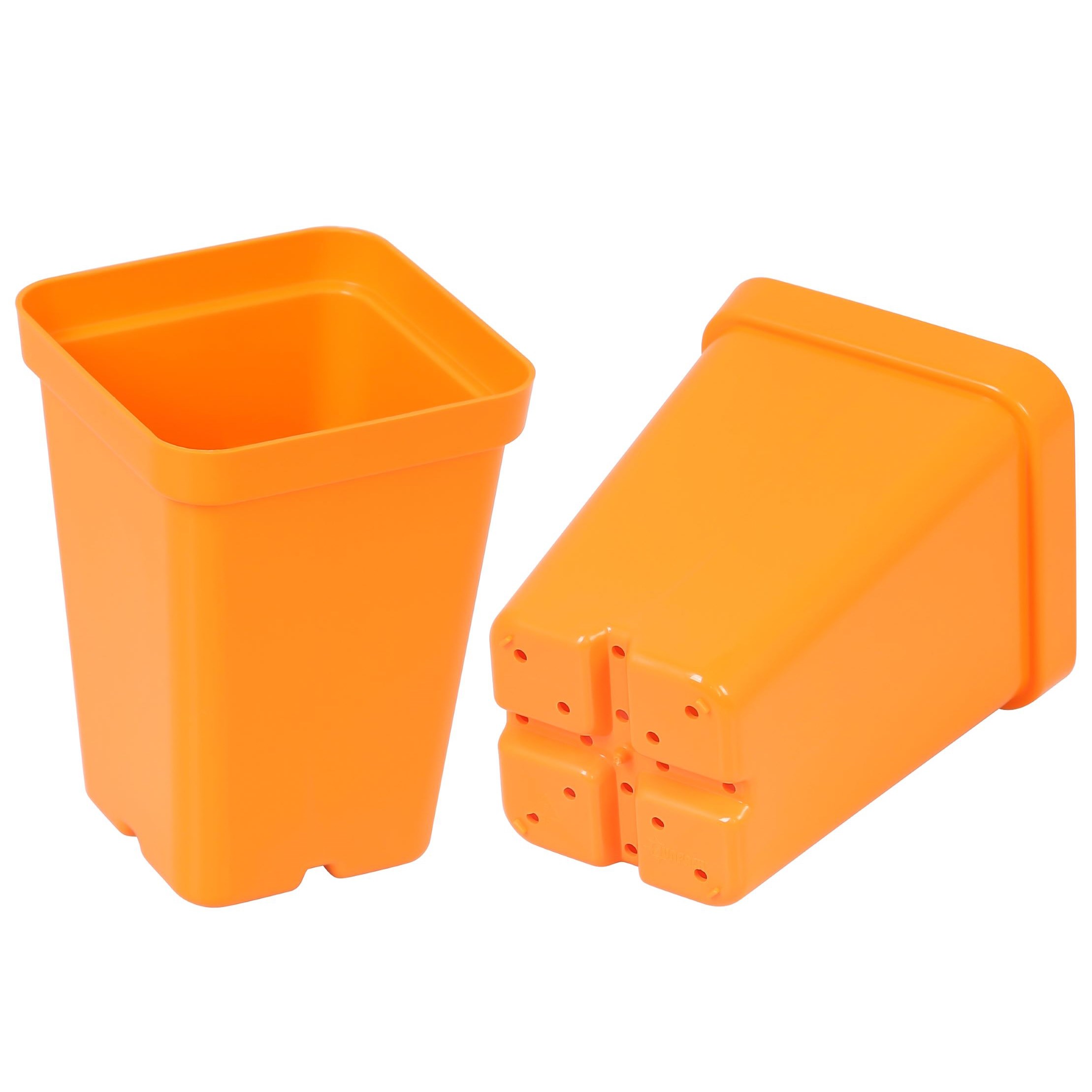 SunPack 2.5" Square Pot, Orange — priced per each; minimum 25; multiples of 25