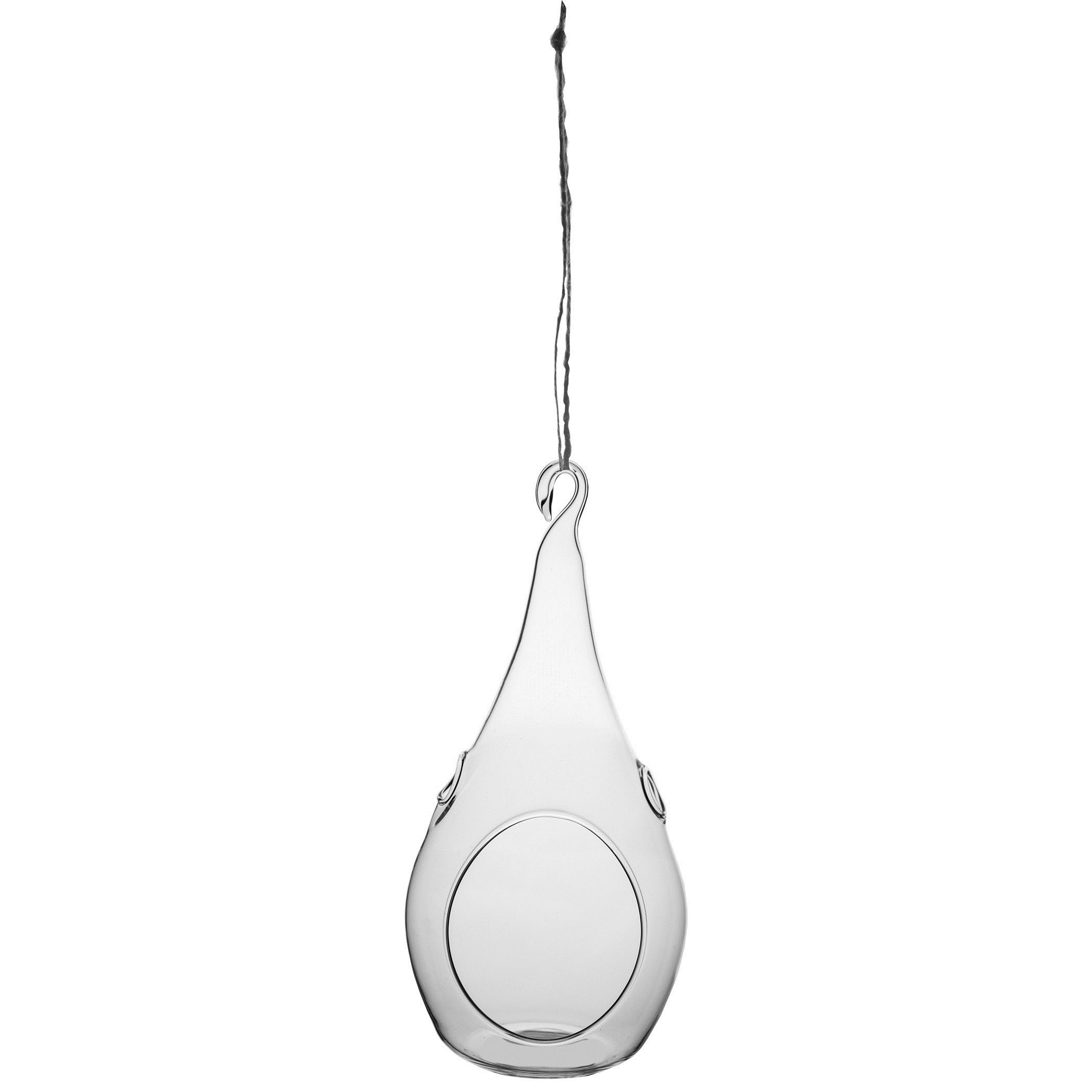 SSI Teardrop Hanging Terrarium — priced per each; minimum 6; multiples of 6