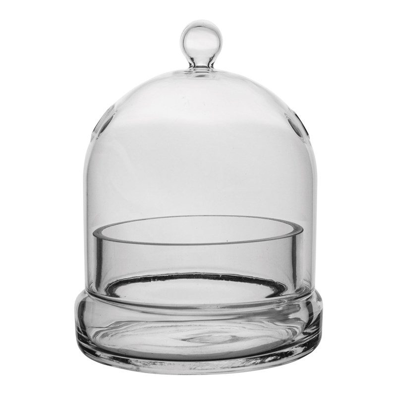 SSI 4 3/4" x 6" Terrarium Cloche — priced per each; minimum 6; multiples of 6