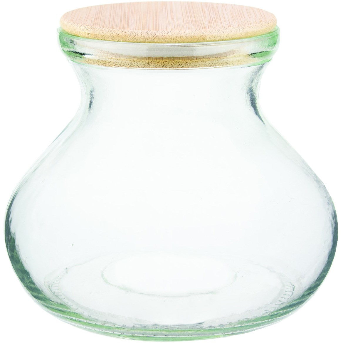 SSI 6" Vase Terrarium with Lid & Light — priced per each; minimum 6; multiples of 6