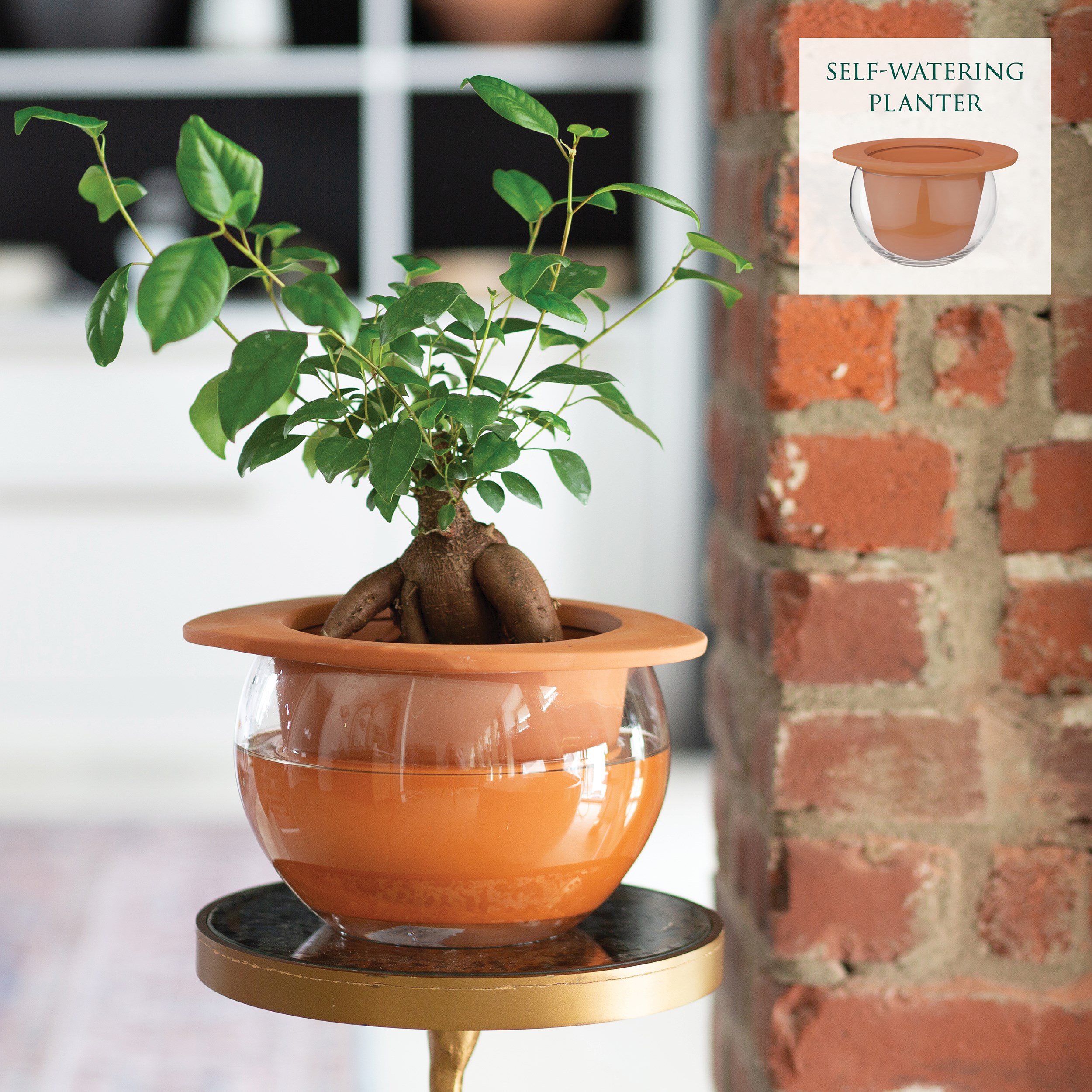 SSI 8.75" Self Watering Planter Terra — priced per each; minimum 4; multiples of 4