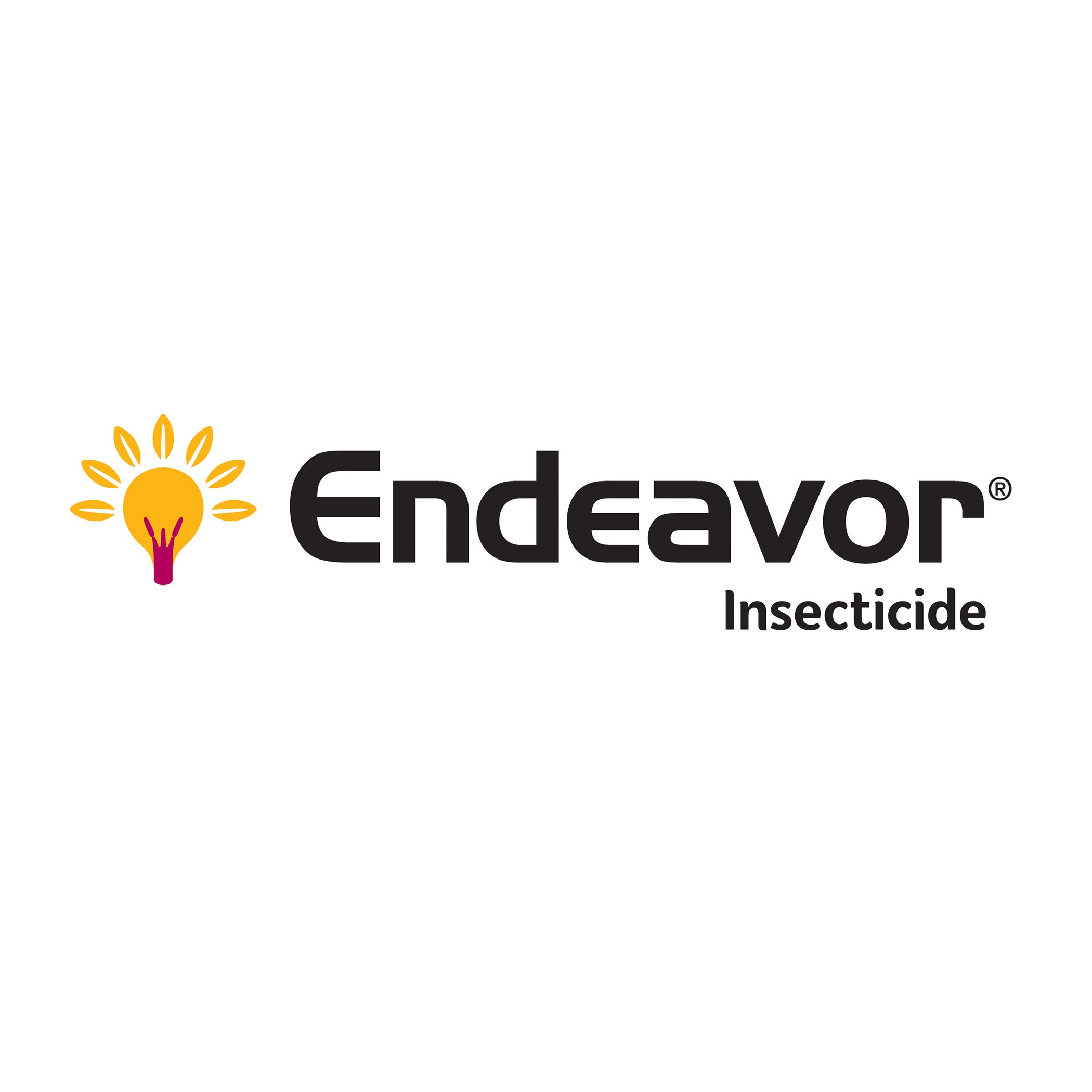 Syngenta Endeavor 15oz ( pymetrozine ) — Single Unit