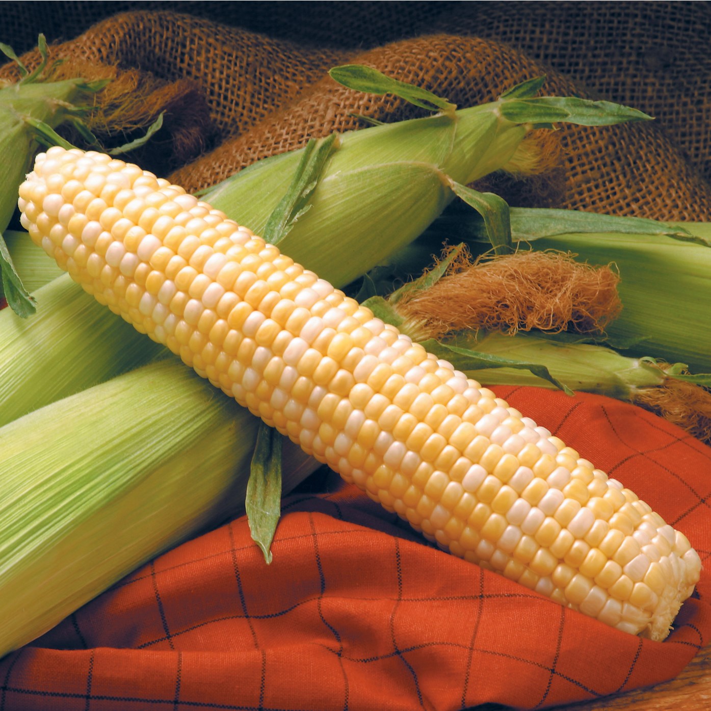 Corn, Providence 50lb