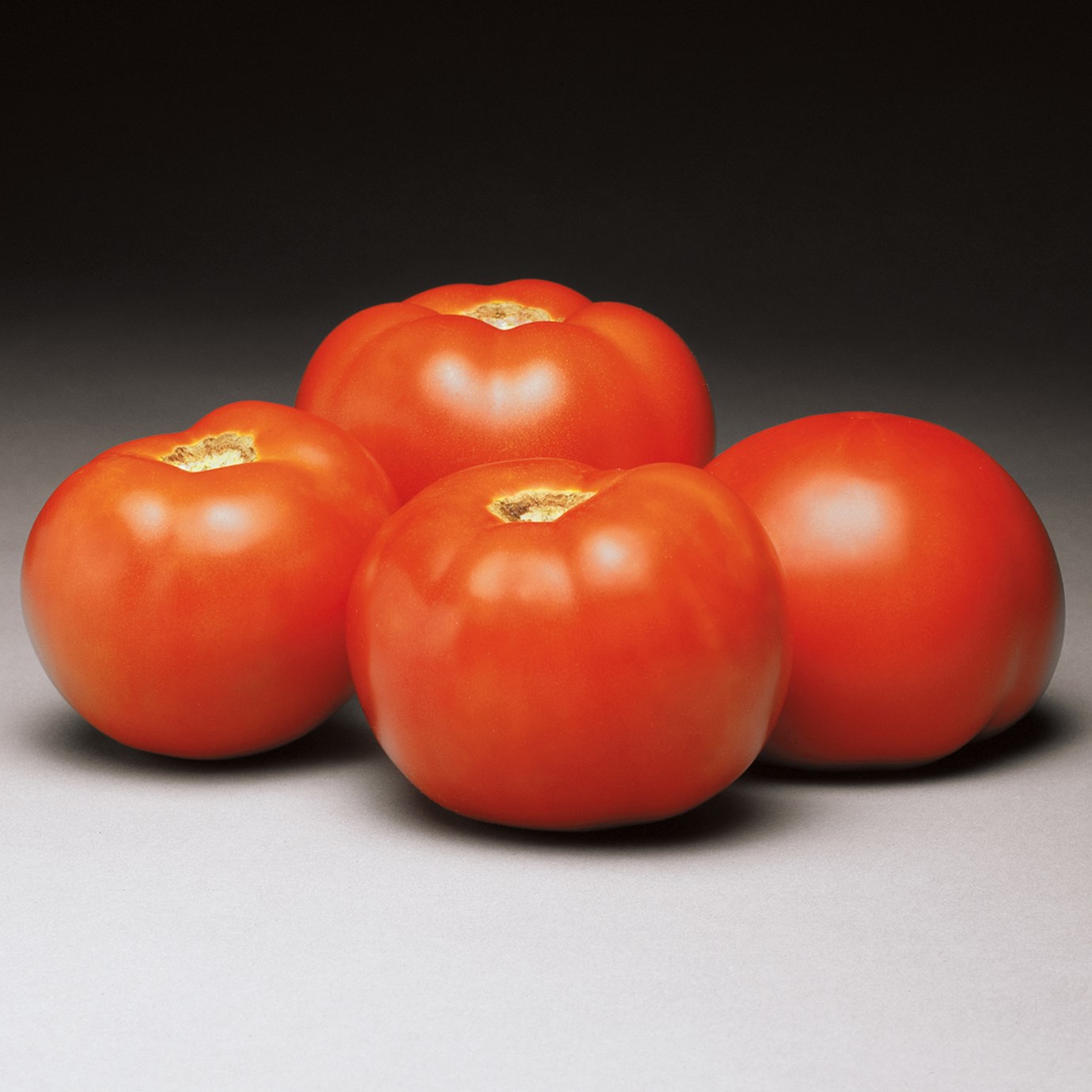 Tomato, Better Bush 100 Seed Count