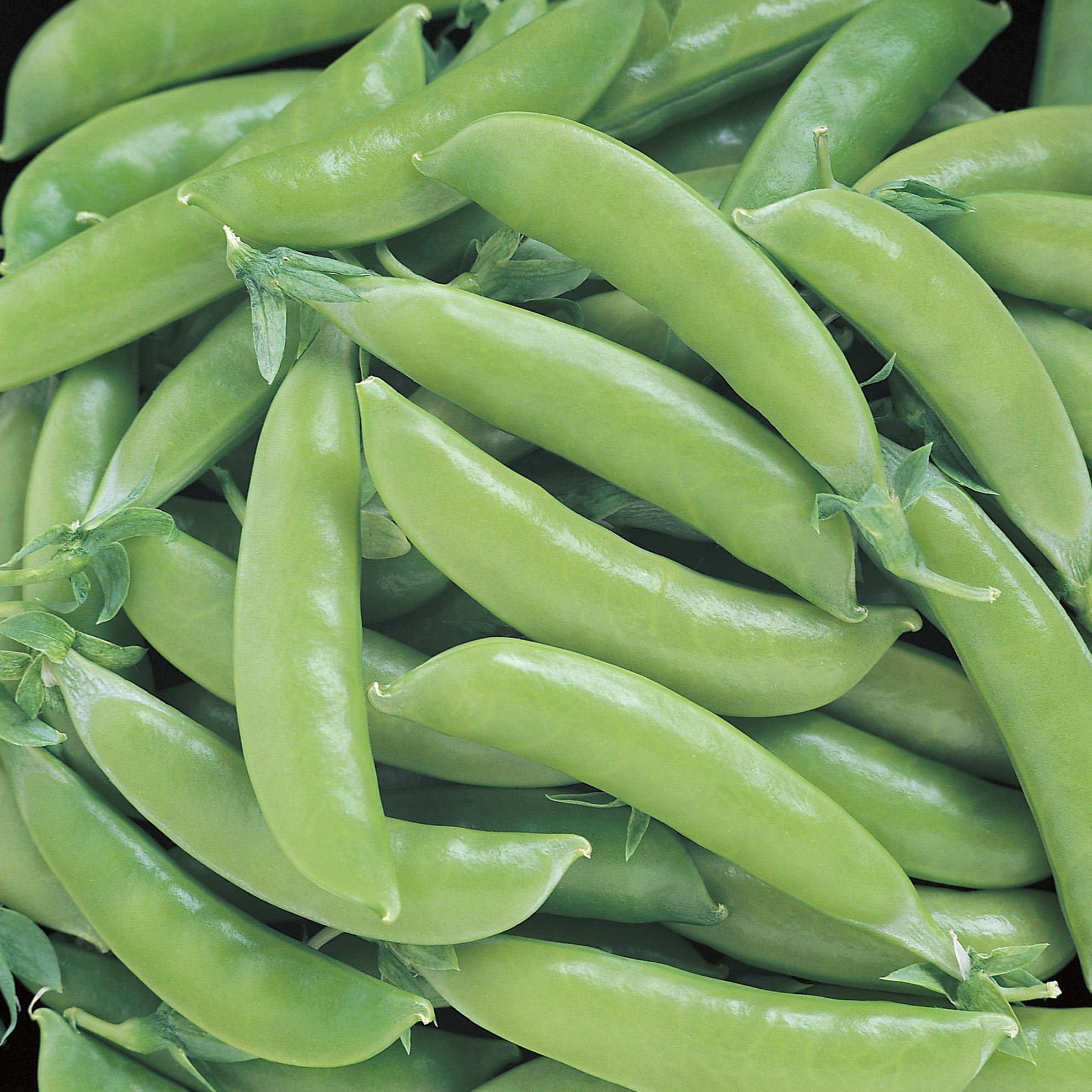 Peas, Snap Super Sugar 25lb