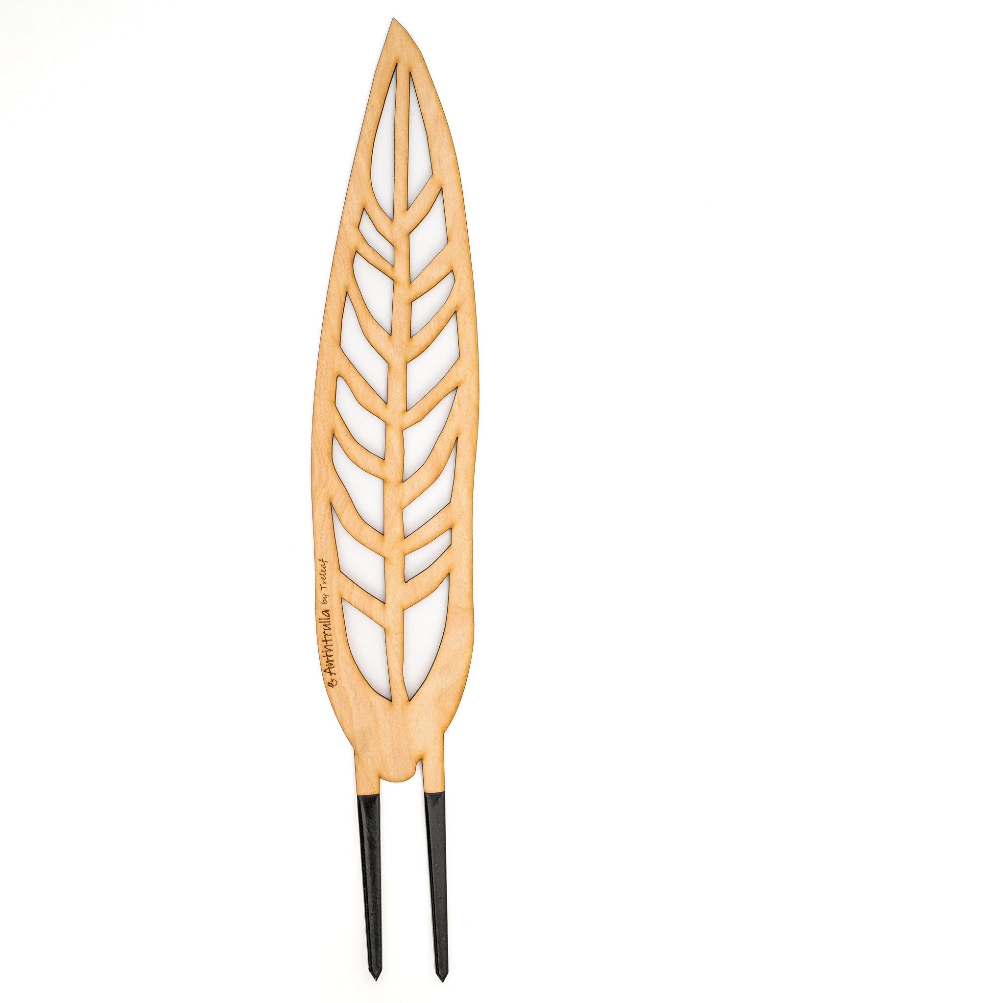 Treleaf 24" Anthrulla BARE Grande Customizable DIY BARE Collection - Make It Your Own — priced per each; minimum 6; multiples of 6