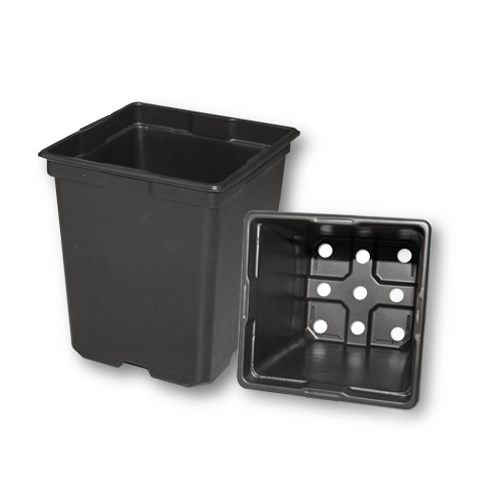 T.O. PLASTICS SVD-550 - BLACK (NO TAG SLITS) (EXCEPTION TO PRESS FILL FEATURE) — Case of 200