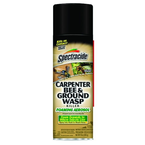 Spectracide 16oz Carpenter Bee & Ground Wasp Foam — priced per each; minimum 12; multiples of 12