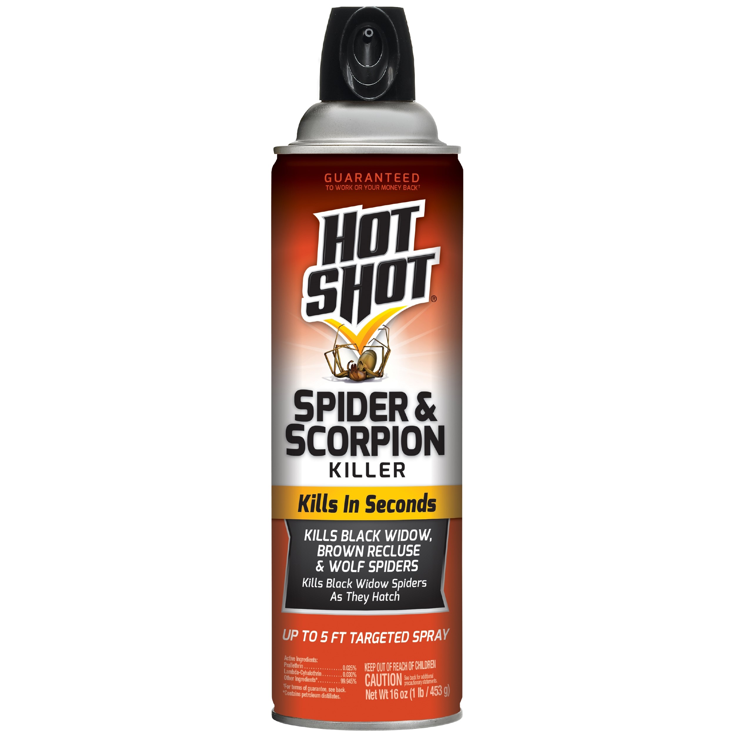 Hot Shot 16oz Spider & Scorpion Aerosol — priced per each; minimum 12; multiples of 12