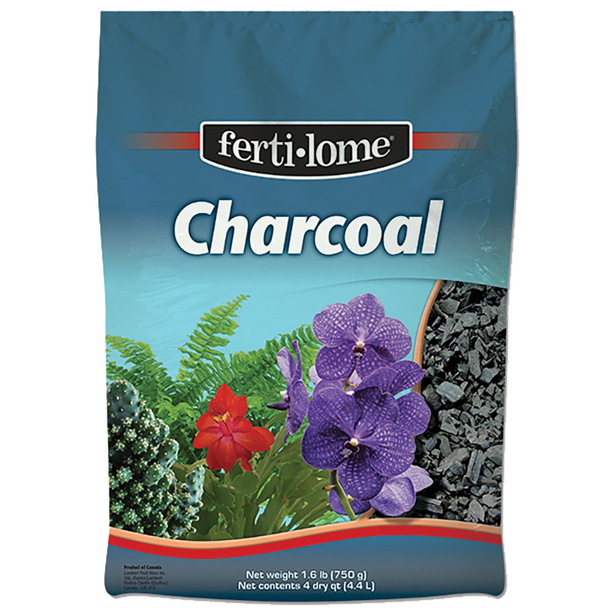 VPG 4Qt Ferti-Lome Charcoal — Single Unit