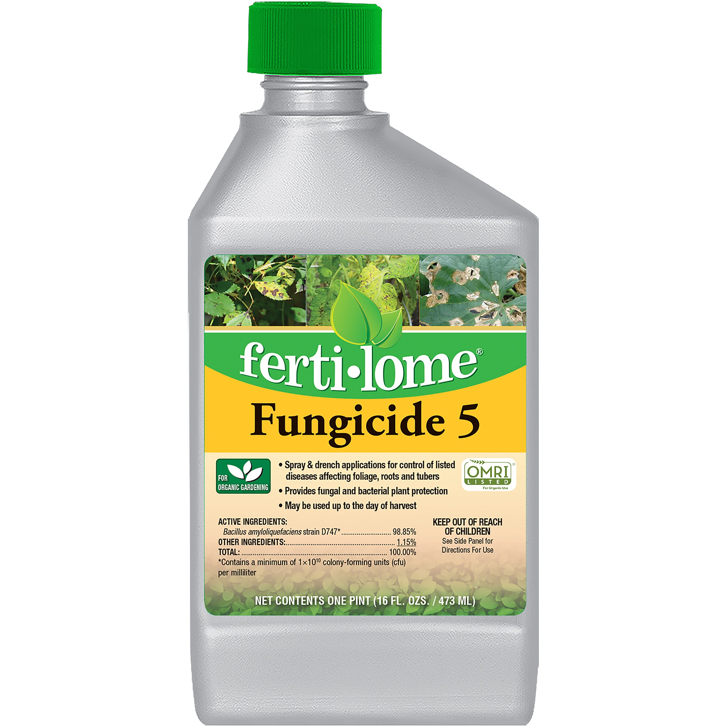 Fertilome 16oz Fungicide 5 — priced per each; minimum 12; multiples of 12