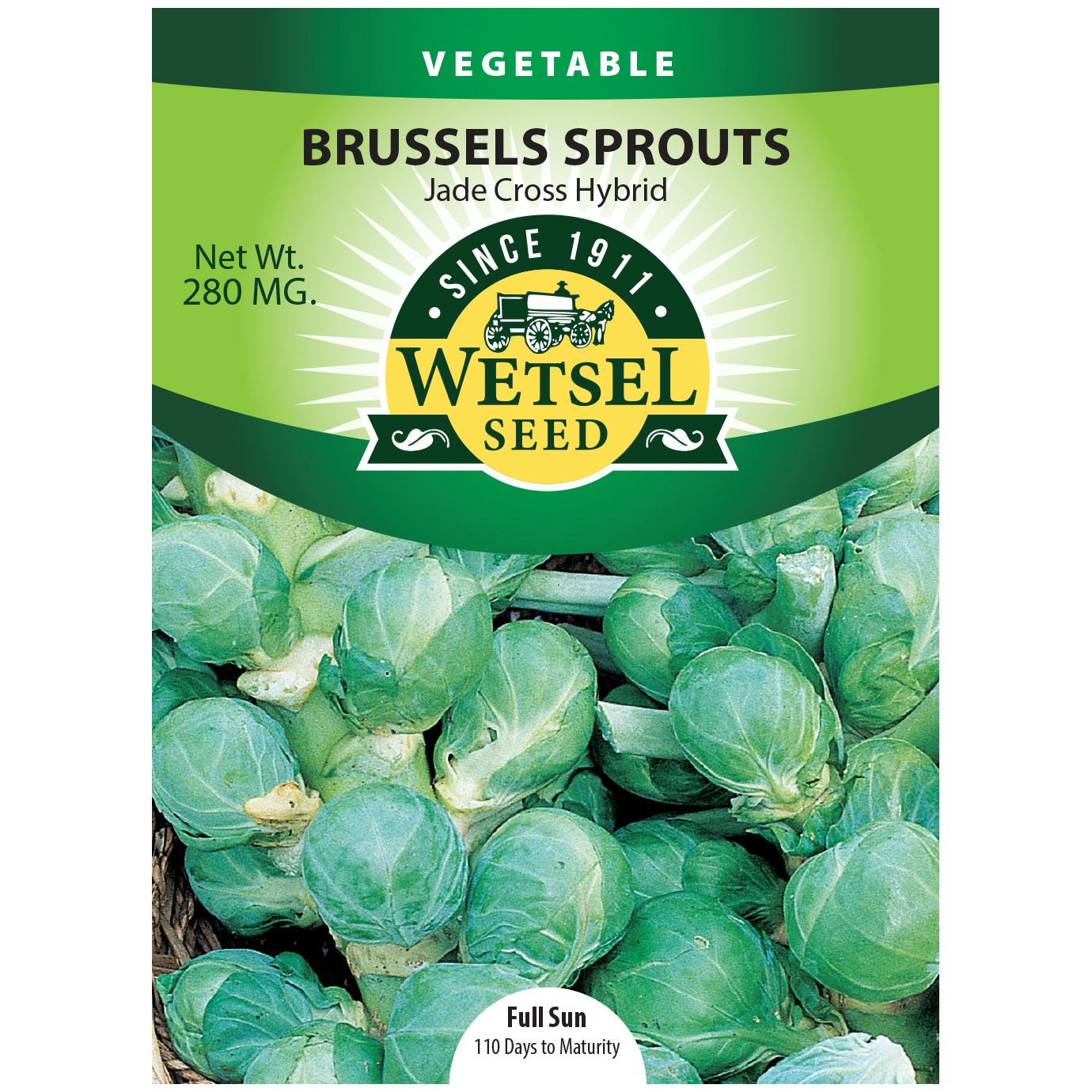 Brussel Sprouts, Jade Cross Hybrid 280mg — priced per each; minimum 5; multiples of 5