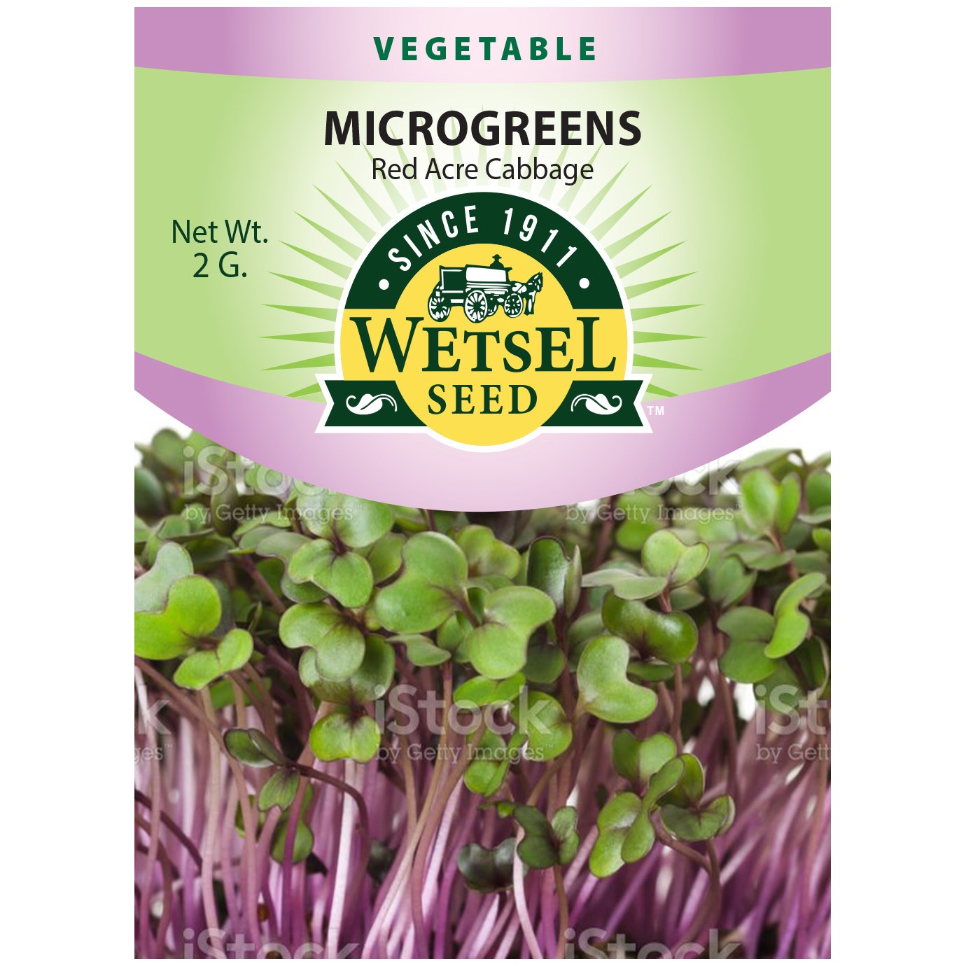Microgreens, Red Acre Cabbage 2 Grams — priced per each; minimum 5; multiples of 5