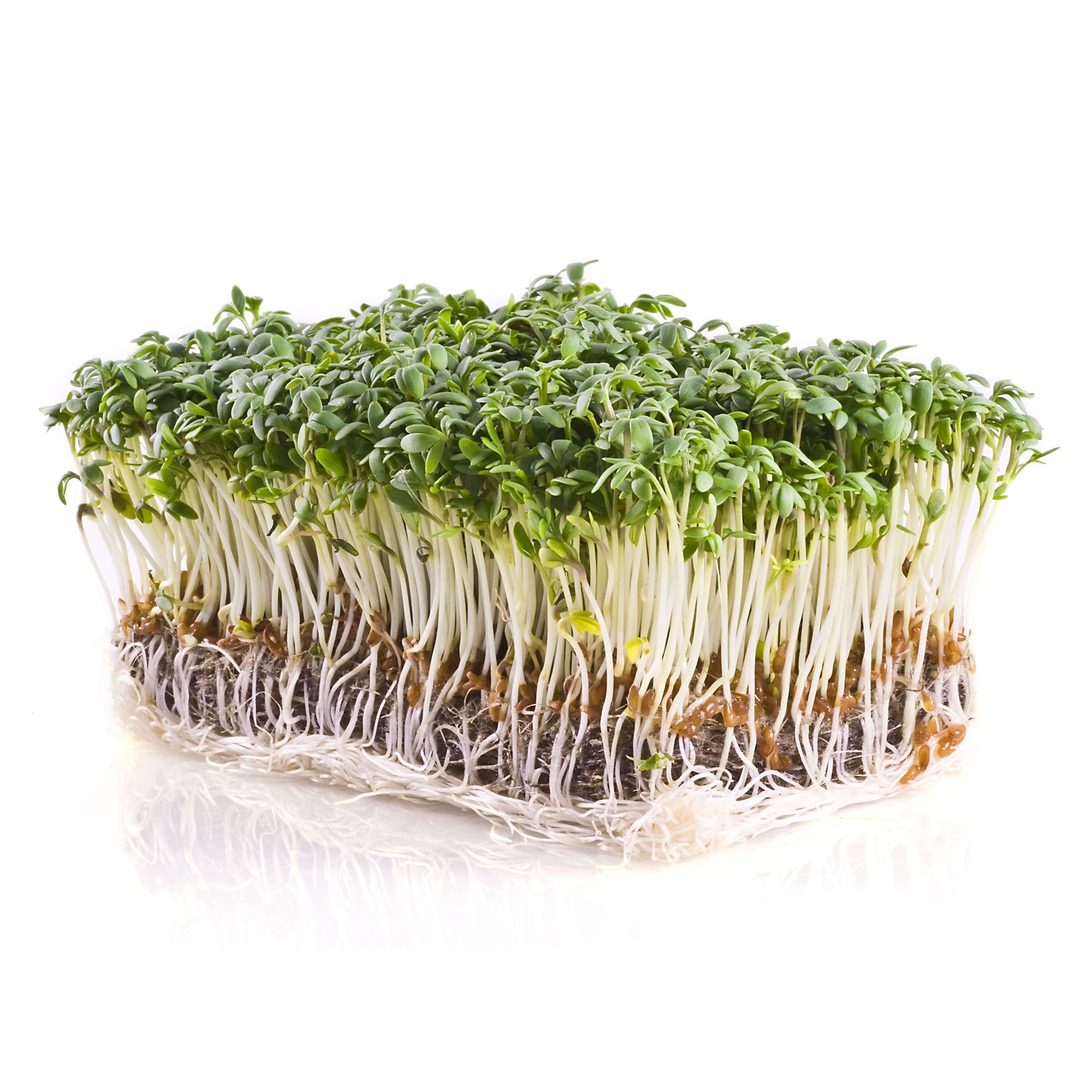 Microgreens, Upland Cress 3.5 Grams — priced per each; minimum 5; multiples of 5