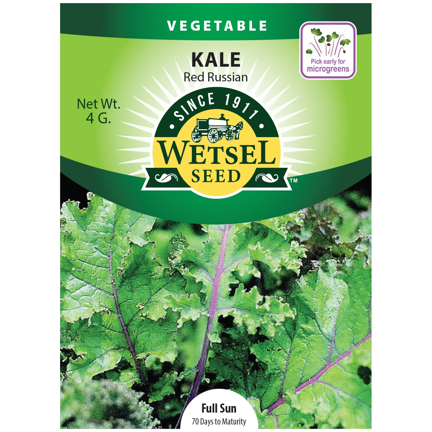 Kale, Red Russian Kale 4 Grams — priced per each; minimum 5; multiples of 5