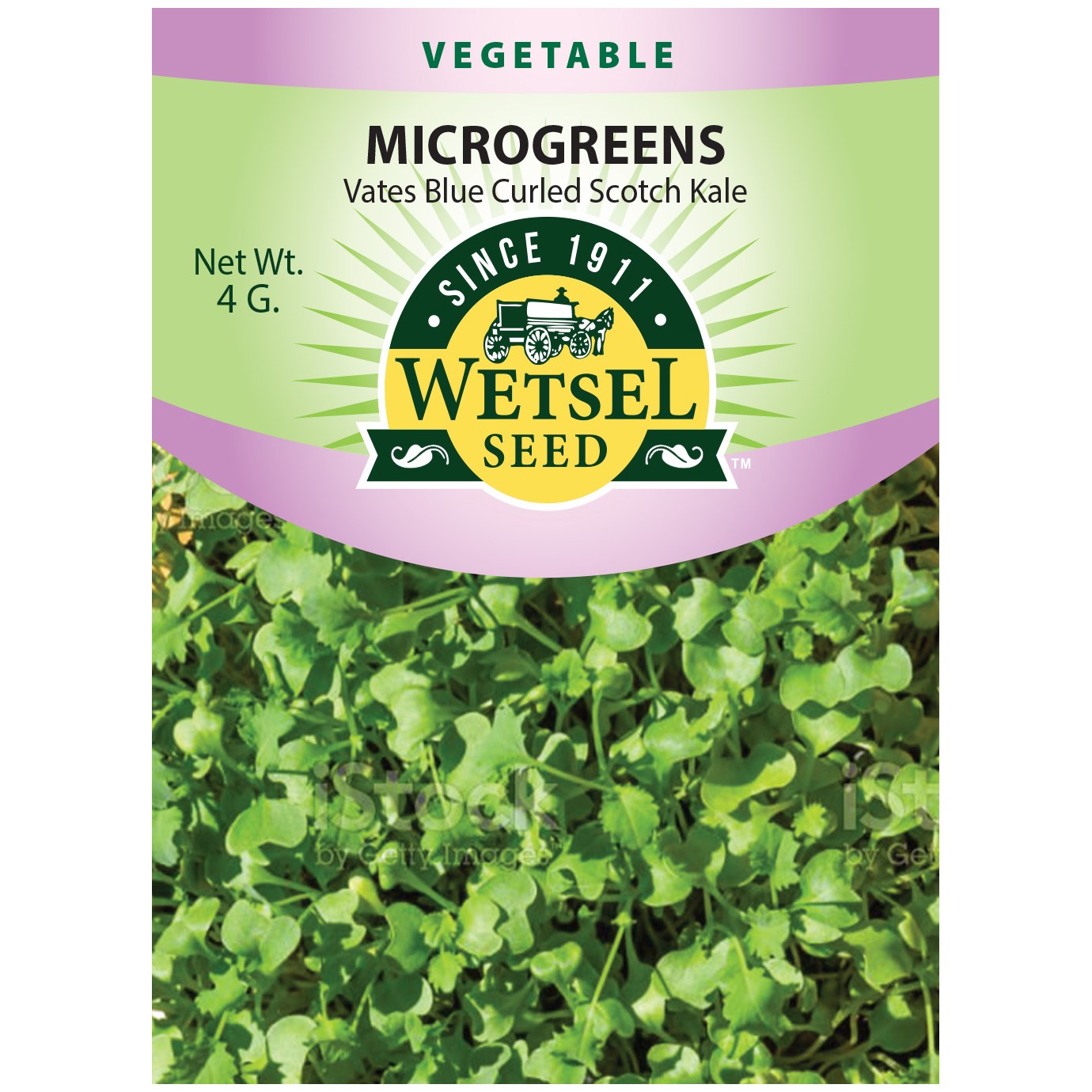 Microgreens, Vates Blue Curled Scotch Kale 4 Grams — priced per each; minimum 5; multiples of 5