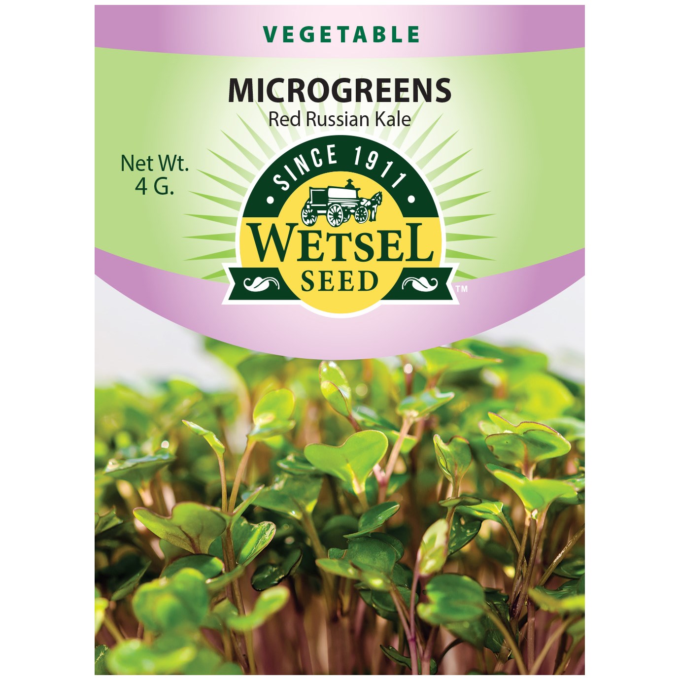 Microgreens, Red Russian Kale 4 Grams — priced per each; minimum 5; multiples of 5