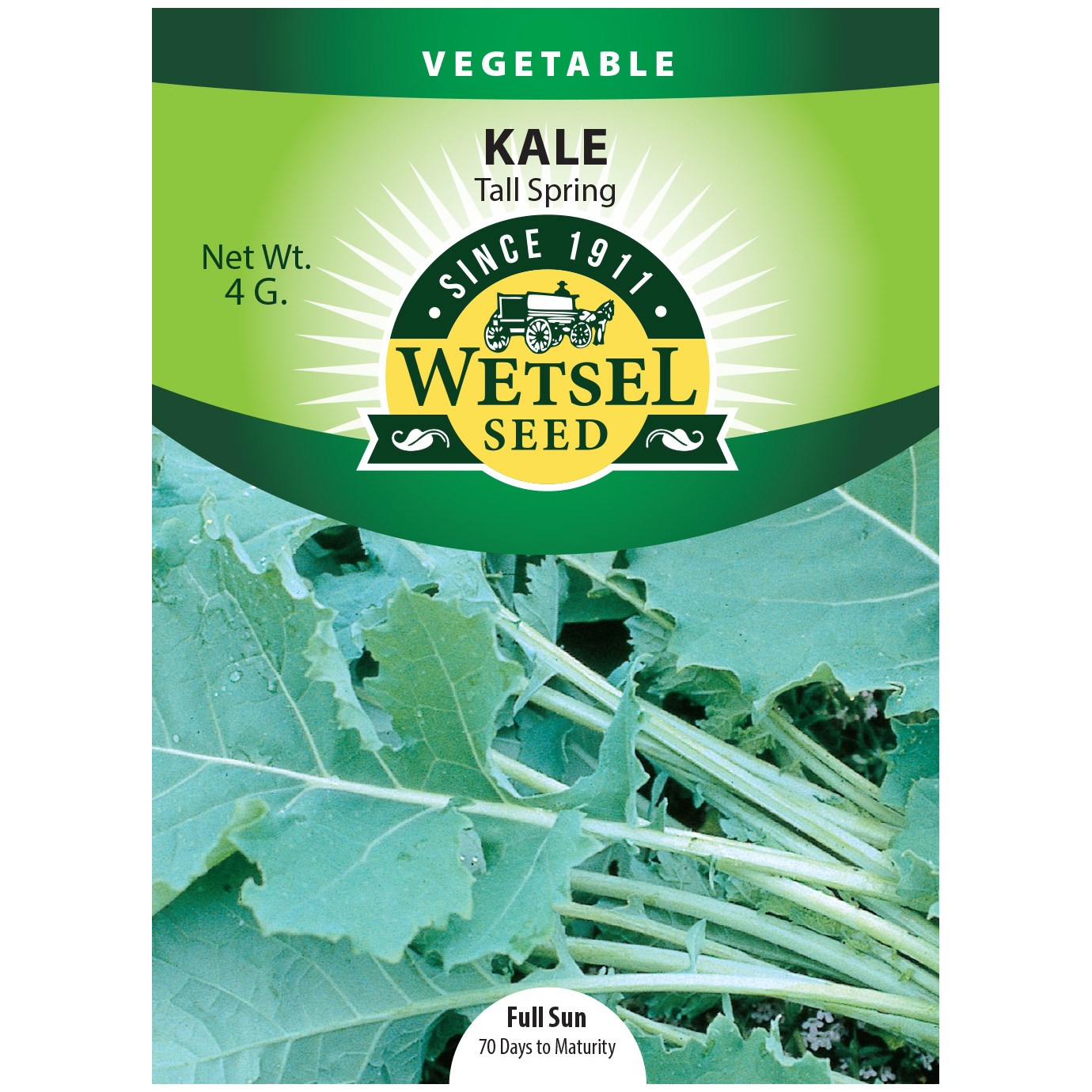 Kale, Tall Spring 4 Grams — priced per each; minimum 5; multiples of 5