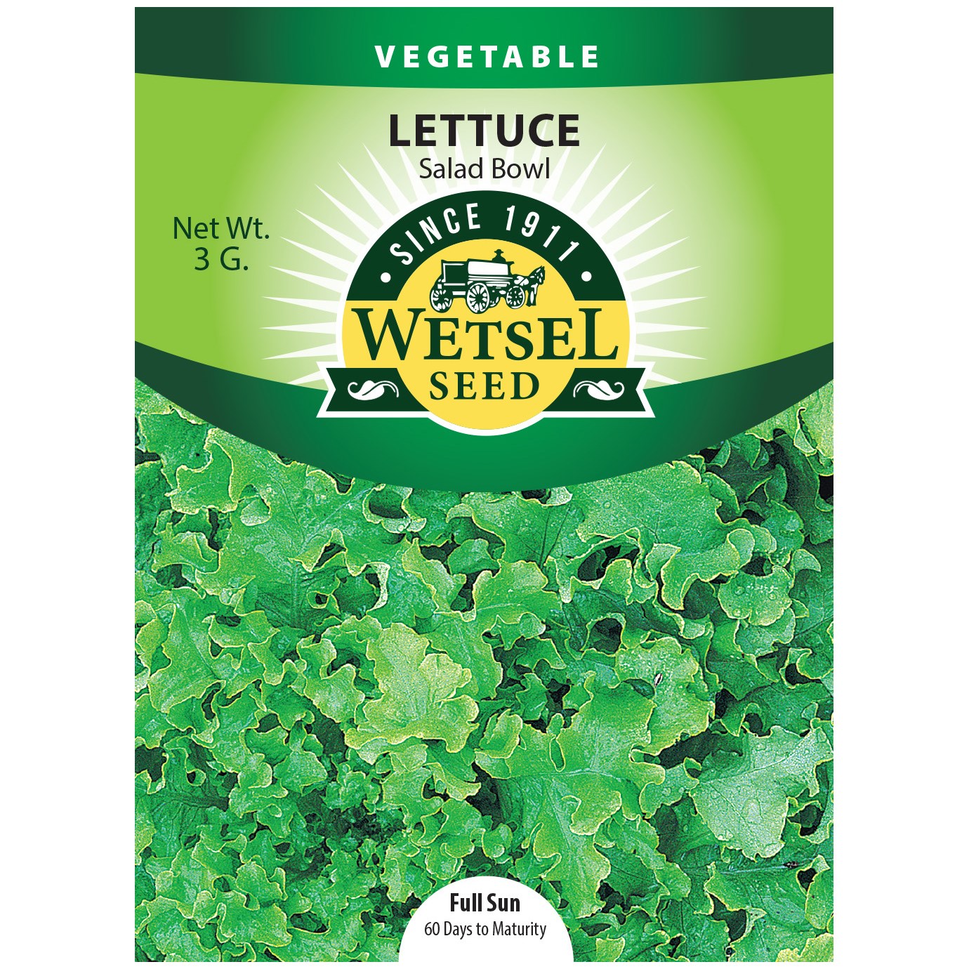 Lettuce, Salad Bowl 3 Grams — priced per each; minimum 5; multiples of 5