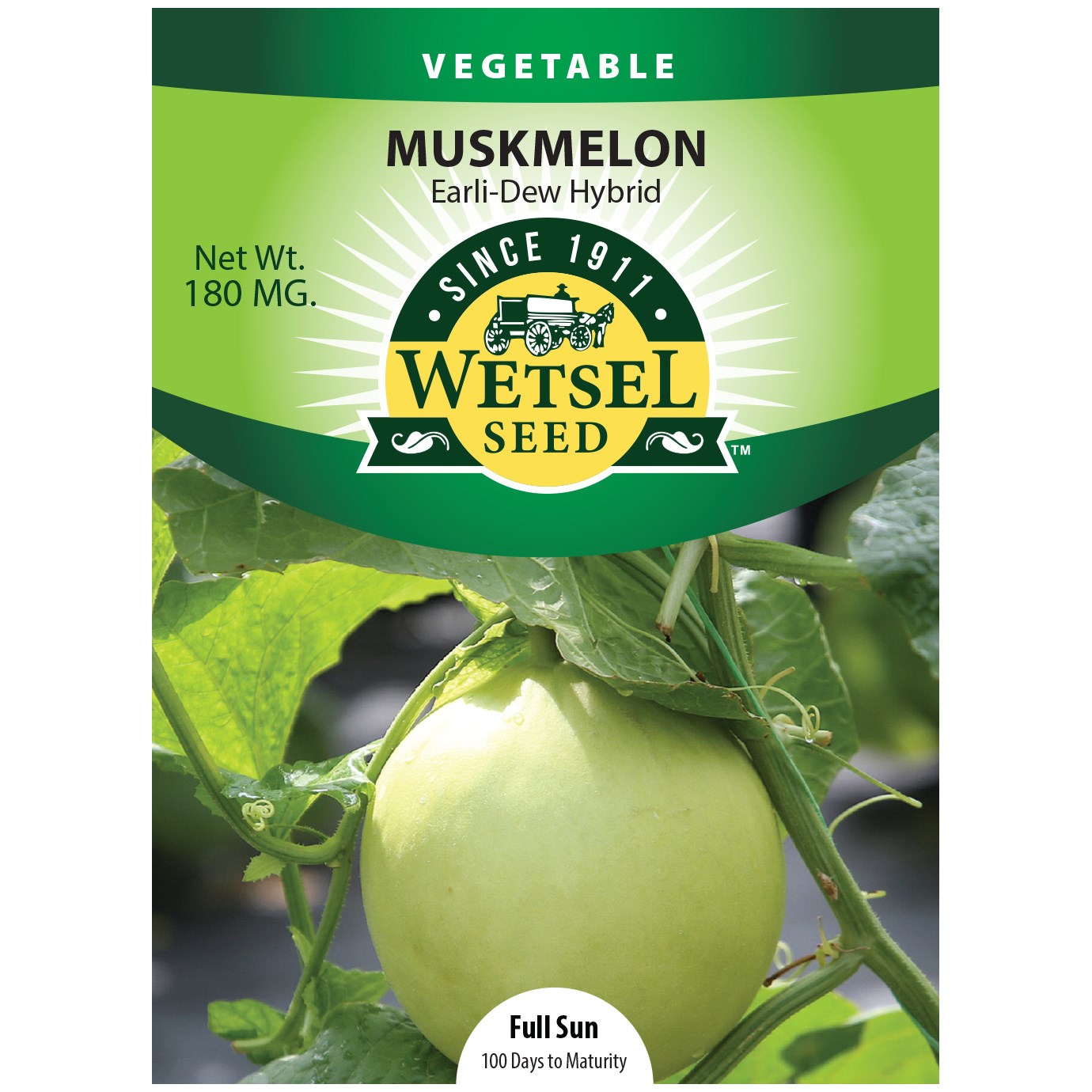 Cantaloupe, Earli Dew Hybrid 180mg — priced per each; minimum 5; multiples of 5