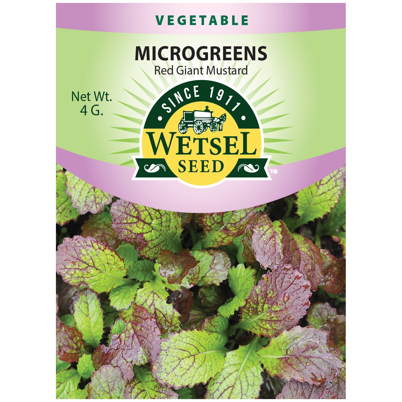 Microgreens, Red Giant Mustard 4 Grams — priced per each; minimum 5; multiples of 5
