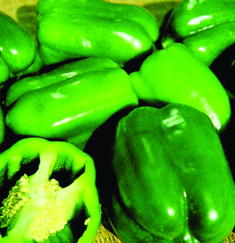 Peppers, Keystone Giant #3 900mg - Image 3