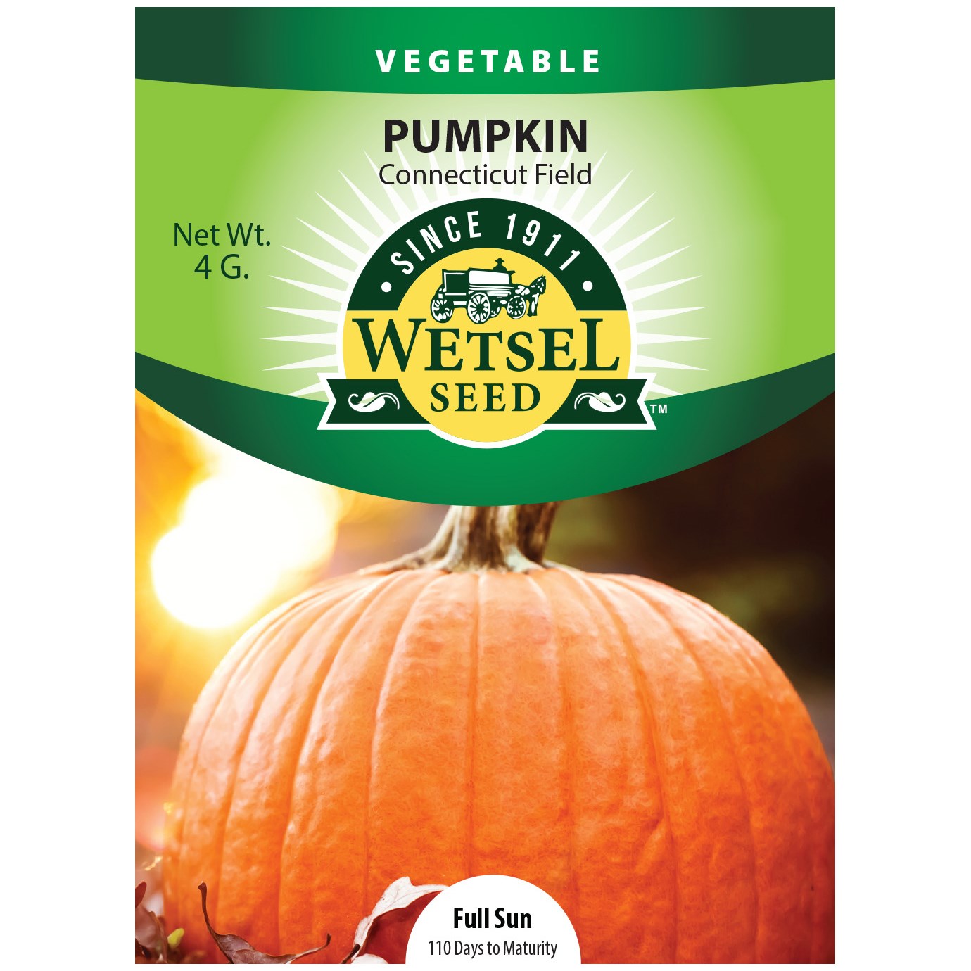Pumpkin, Connecticut Field 4 Grams — priced per each; minimum 5; multiples of 5