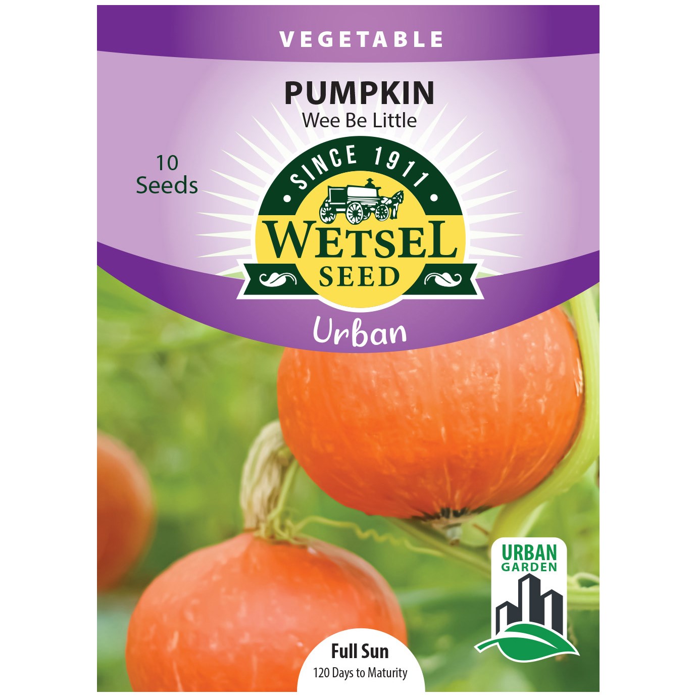Pumpkin, Wee Be Little ( Patio ) 10 Seed Count — priced per each; minimum 5; multiples of 5