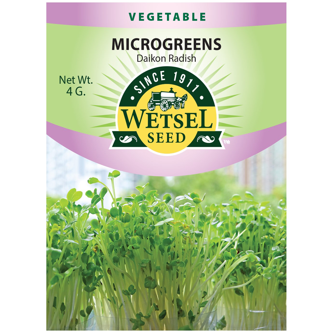 Microgreens, Daikon Radish 4 Grams — priced per each; minimum 5; multiples of 5