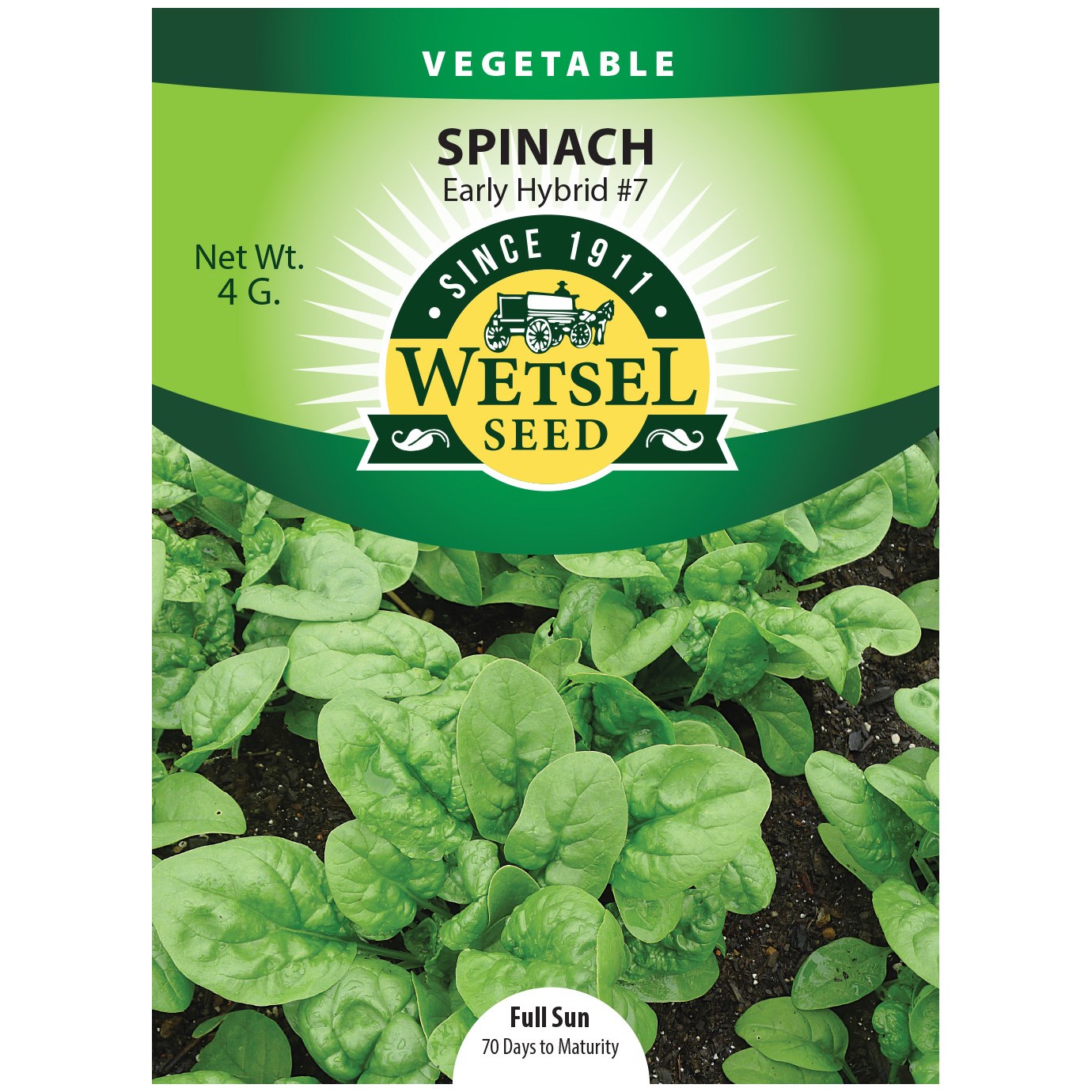 Spinach, Early Hybrid #7 4 Grams — priced per each; minimum 5; multiples of 5