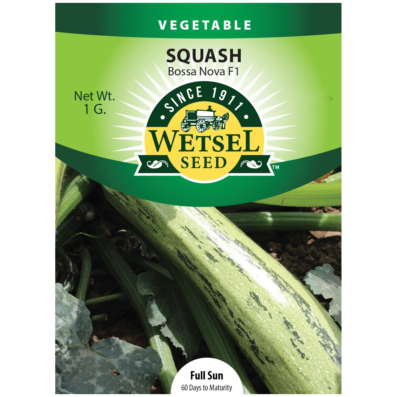 Squash, Bossa Nova 1 Gram — priced per each; minimum 5; multiples of 5