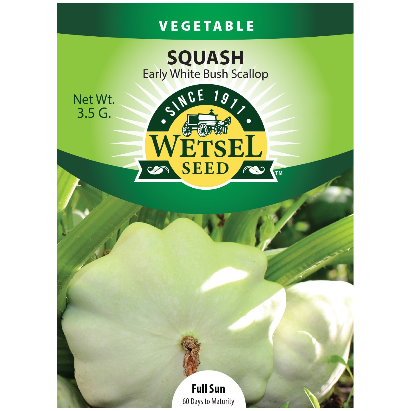 Squash, Early White Bush 3.5 Grams — priced per each; minimum 5; multiples of 5