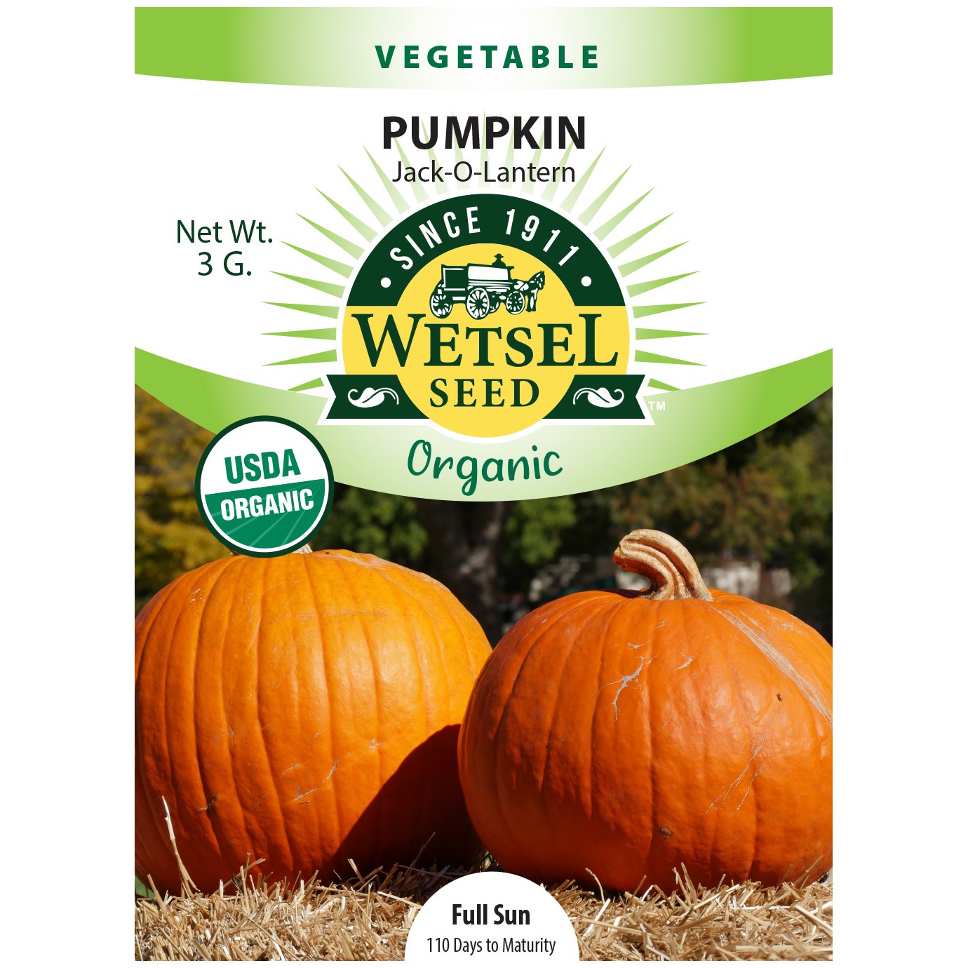 Pumpkin, Organic Jack O Lantern 3 Grams — priced per each; minimum 5; multiples of 5