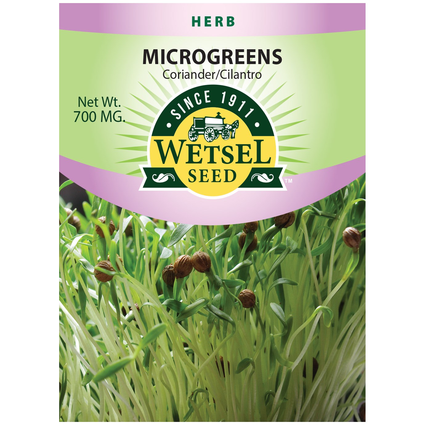 Microgreens, Coriander/ Cilantro 700mg — priced per each; minimum 5; multiples of 5