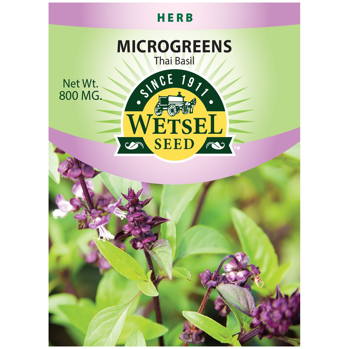 Microgreens, Thai Basil 800mg — priced per each; minimum 5; multiples of 5