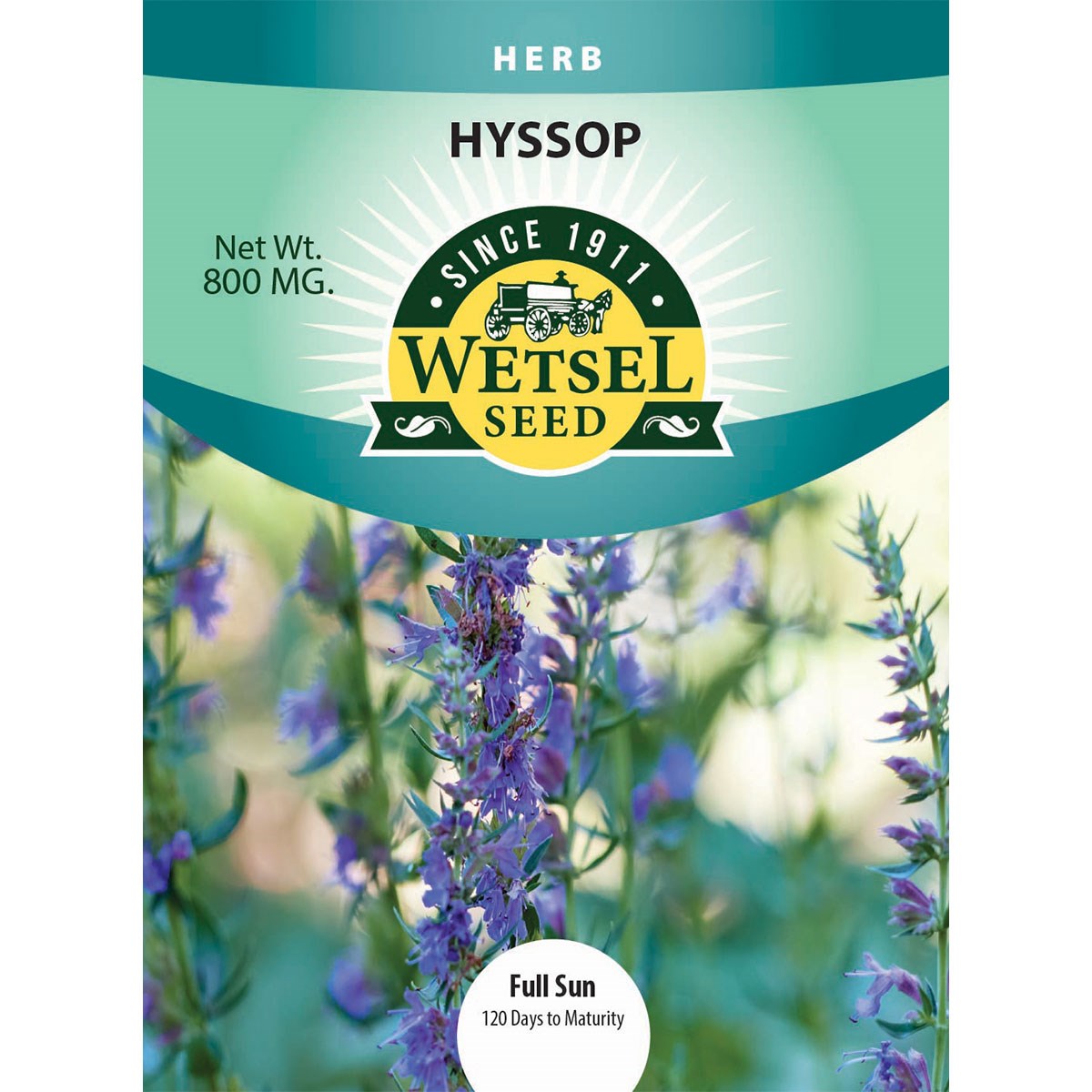 Hyssop 800mg — priced per each; minimum 5; multiples of 5