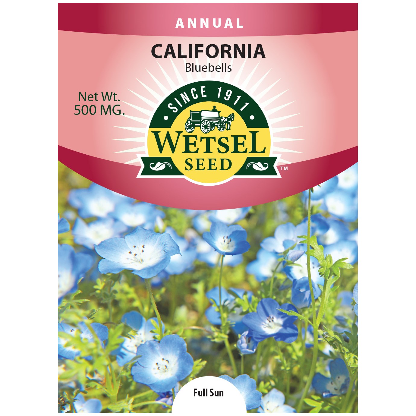 California Bluebells 500mg — priced per each; minimum 5; multiples of 5
