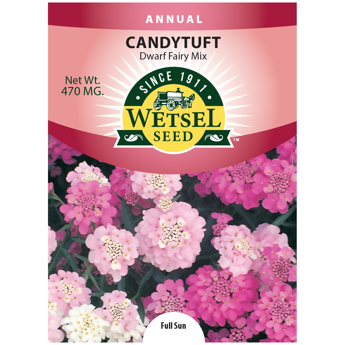 Candytuft, Dwarf Fairy Mix 470mg — priced per each; minimum 5; multiples of 5