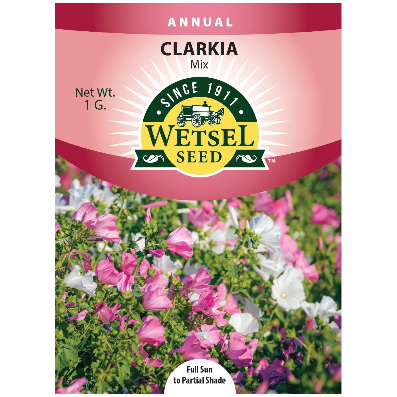Clarkia Mix 1 Gram — priced per each; minimum 5; multiples of 5