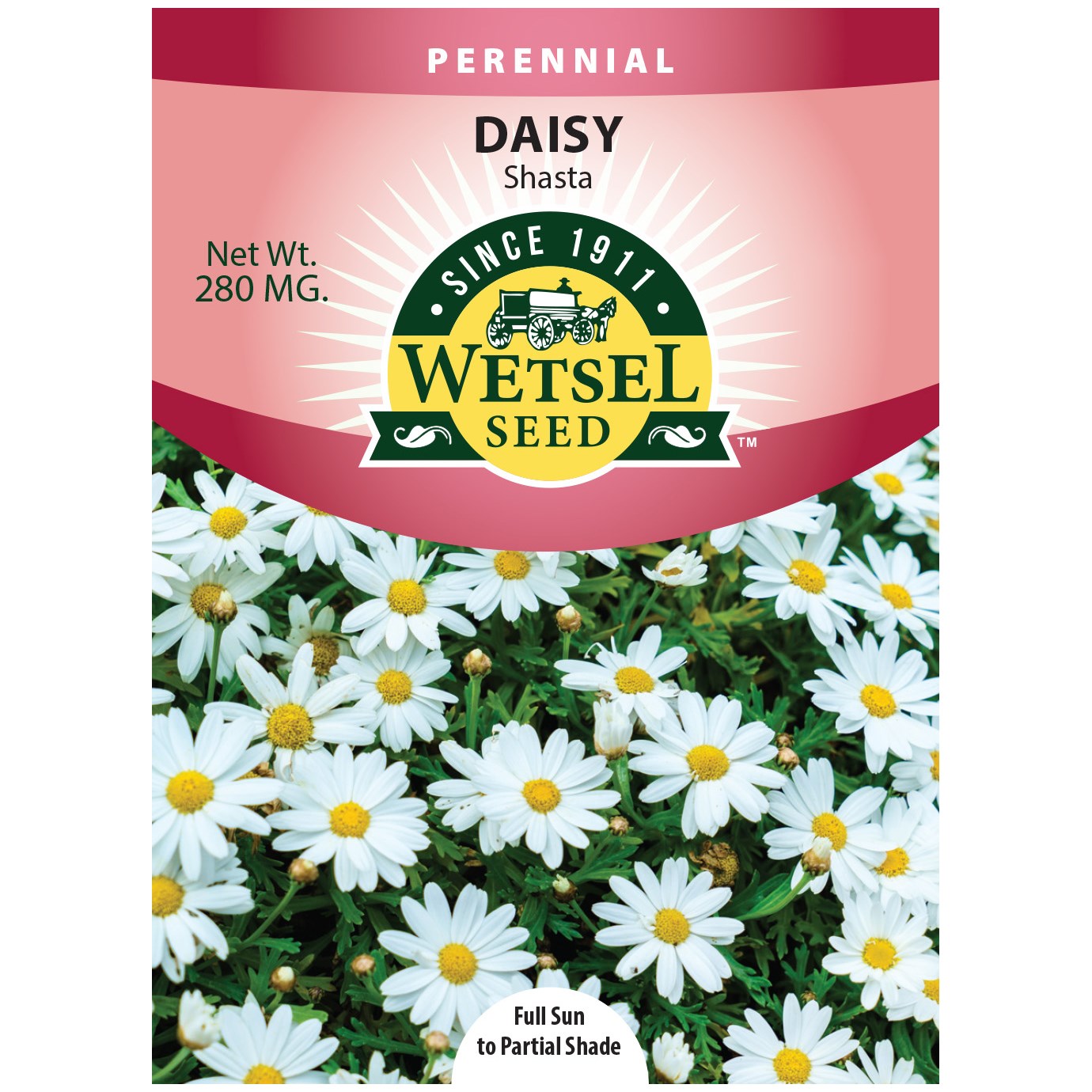 Daisy, Shasta Single 280mg — priced per each; minimum 5; multiples of 5