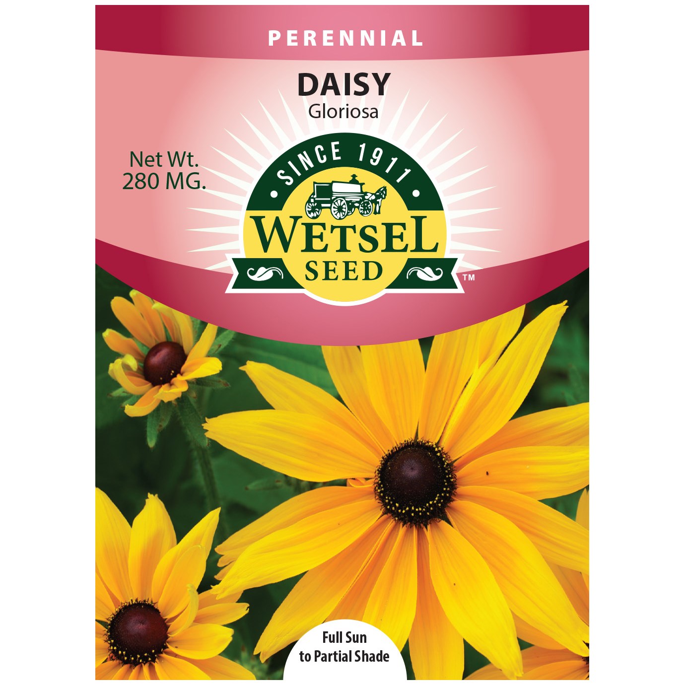 Daisy, Gloriosa Single 280mg — priced per each; minimum 5; multiples of 5