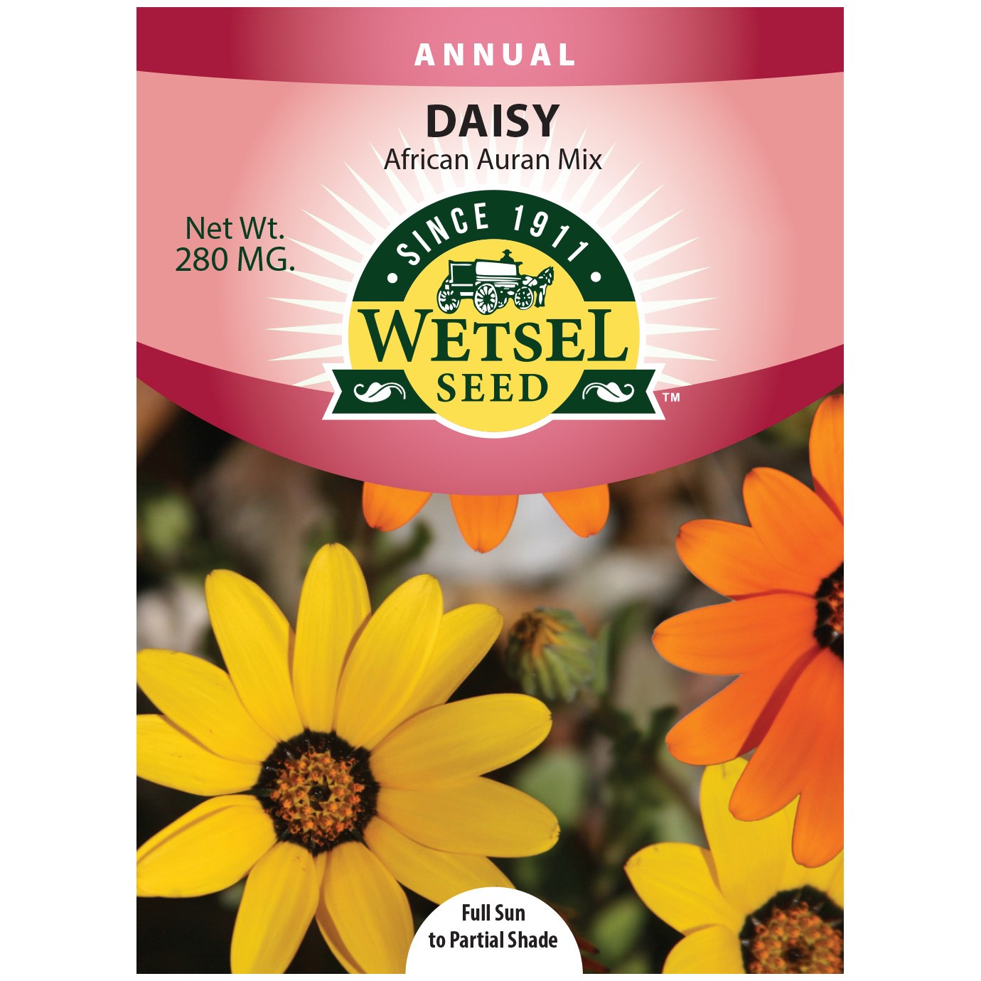 African Daisy Aurantiaca Mix 280mg — priced per each; minimum 5; multiples of 5